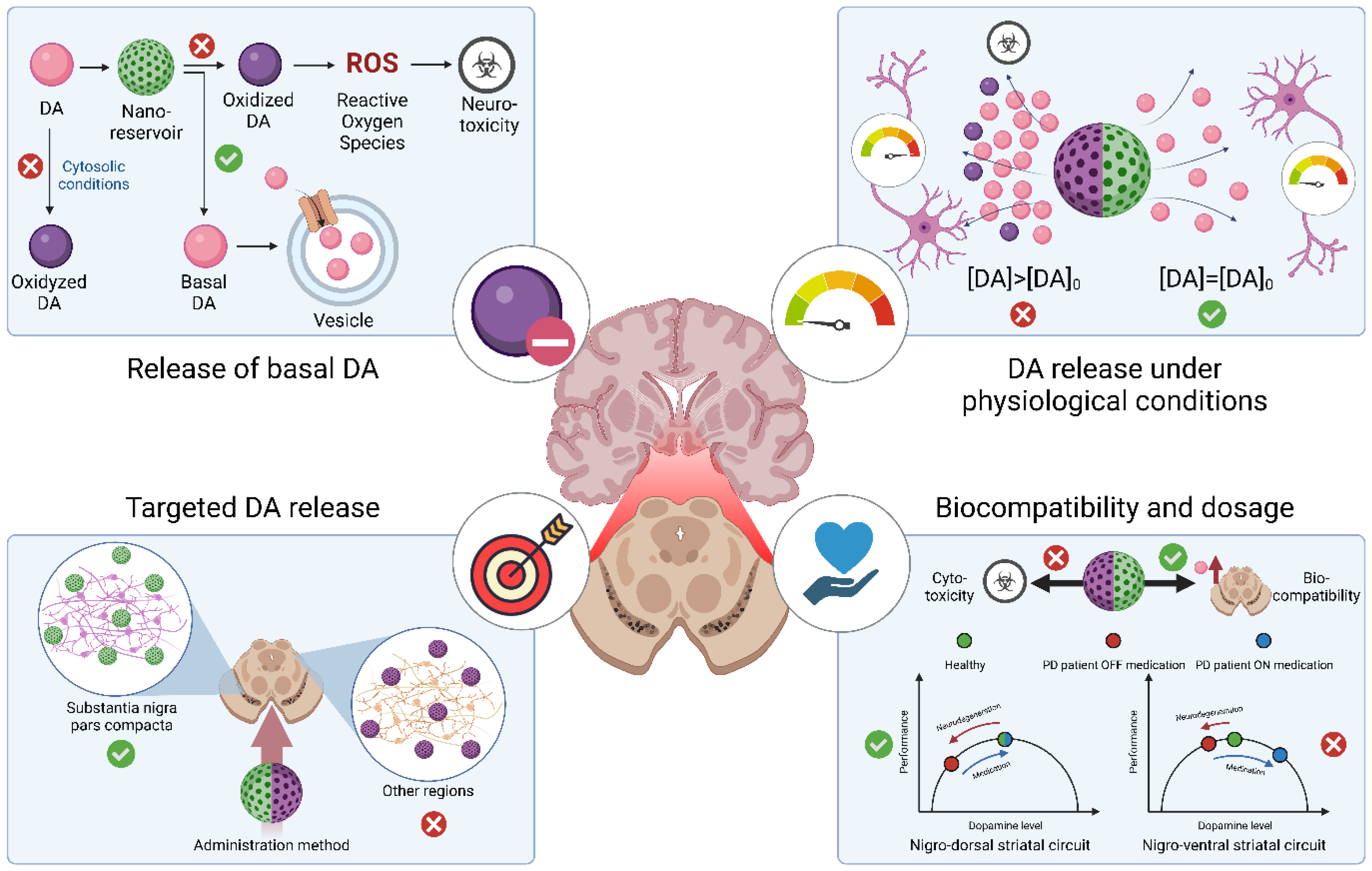 Cells 11 03445 g003 Cells 11 03445 g003
