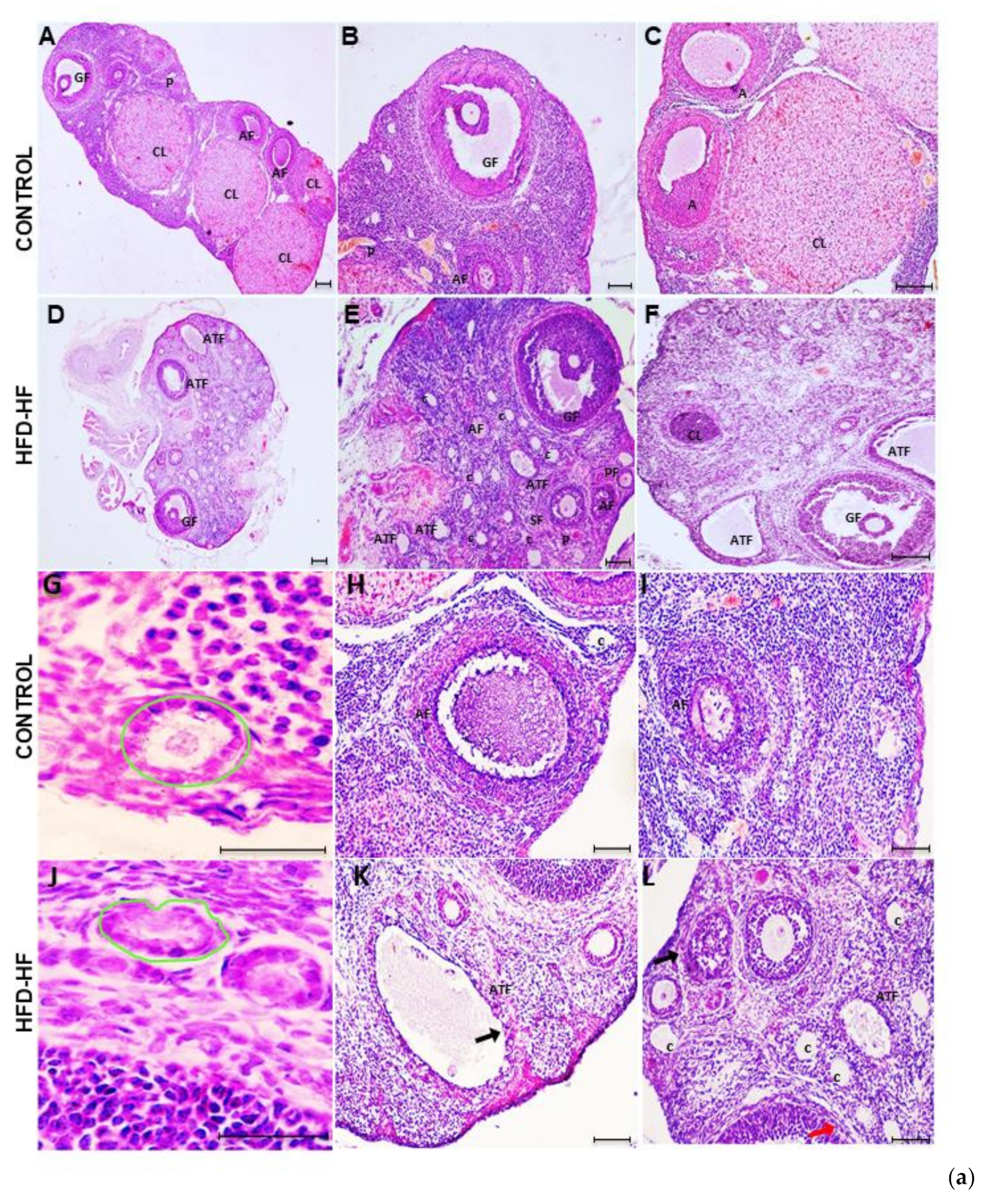 Cells 11 03447 g003a