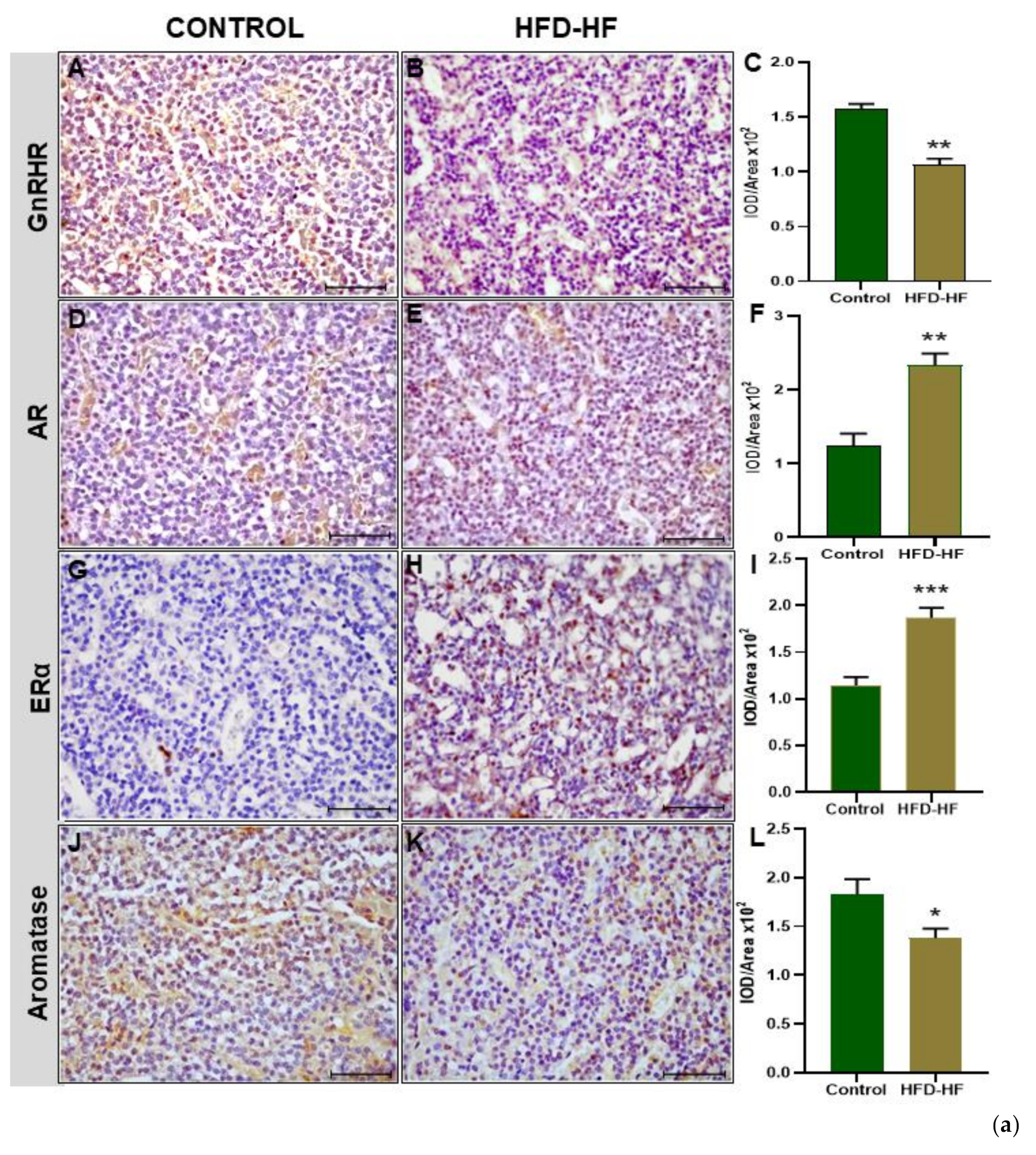 Cells 11 03447 g004a