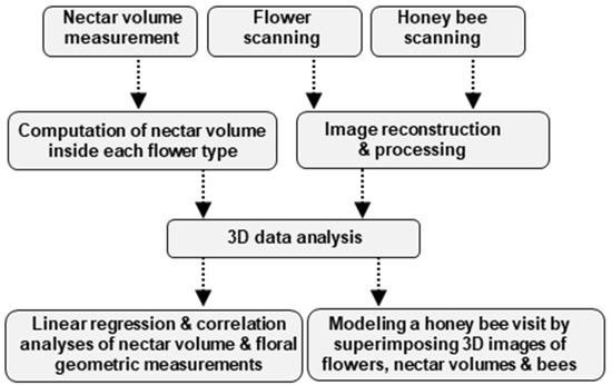 The First Dynamic Micro-CT System to Deliver Sub-Micron 3D Imaging