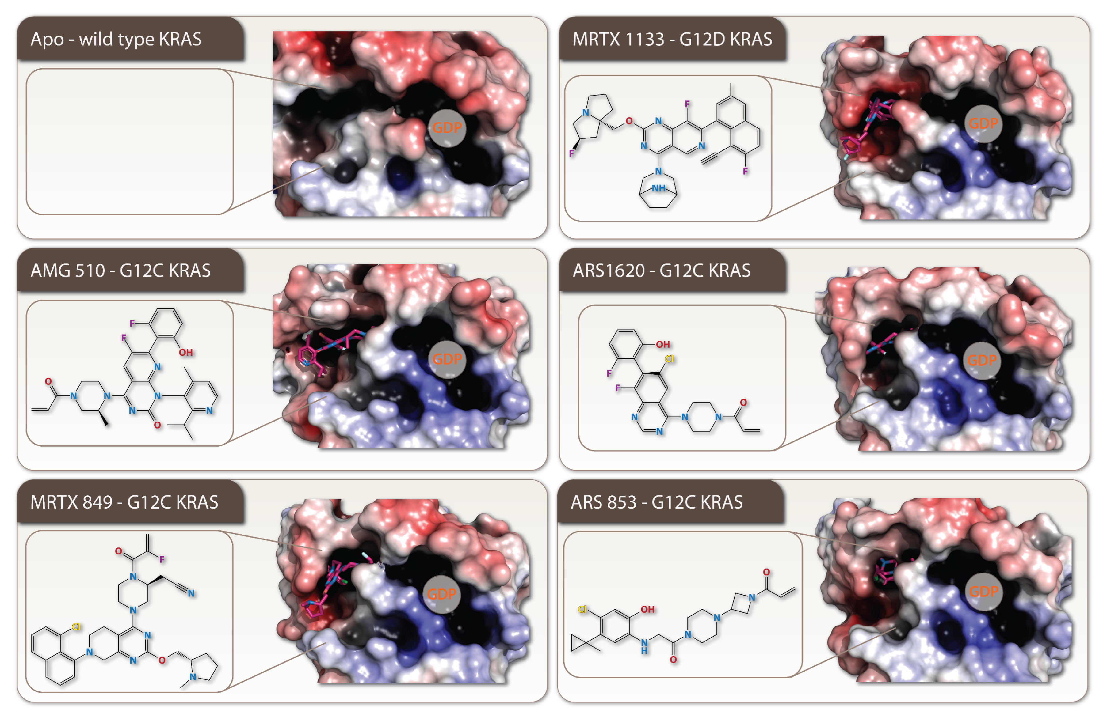 Cells 11 03454 g003 Cells 11 03454 g003
