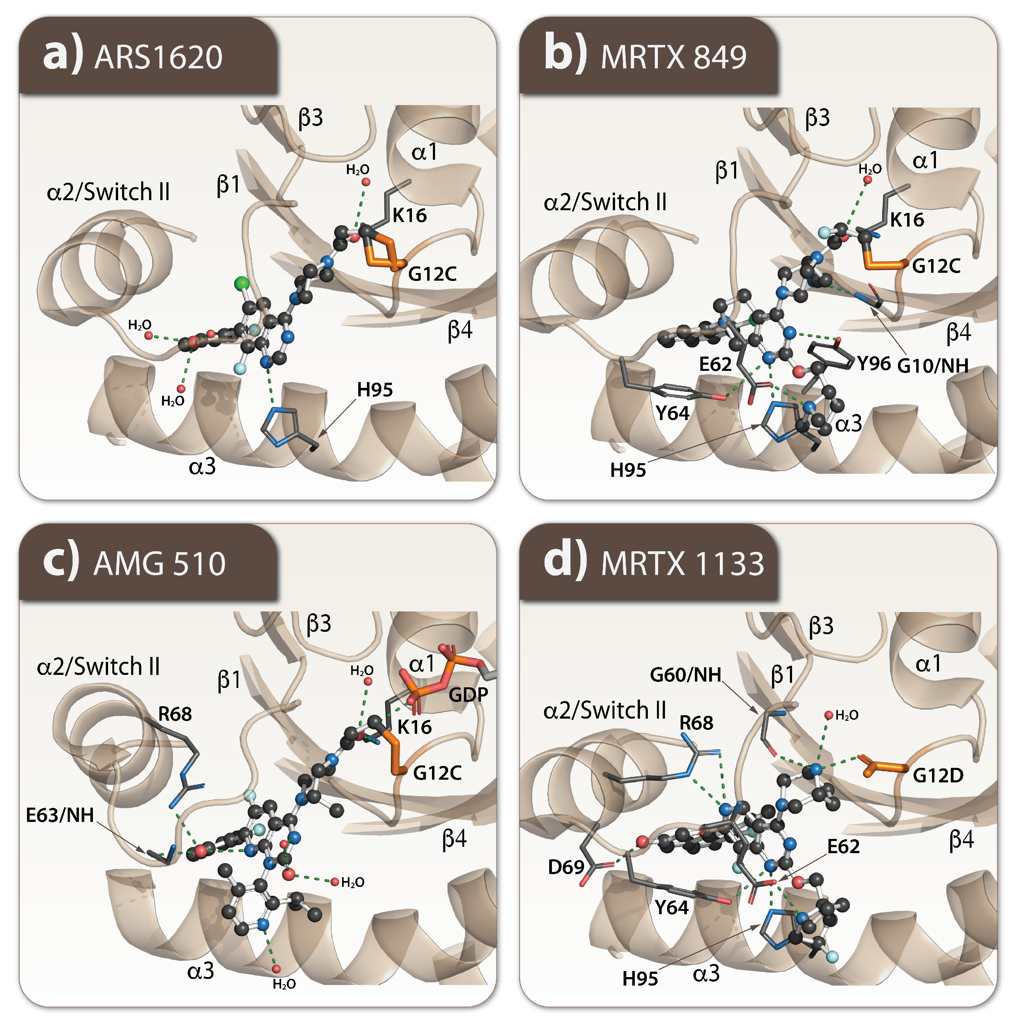 Cells 11 03454 g004 Cells 11 03454 g004