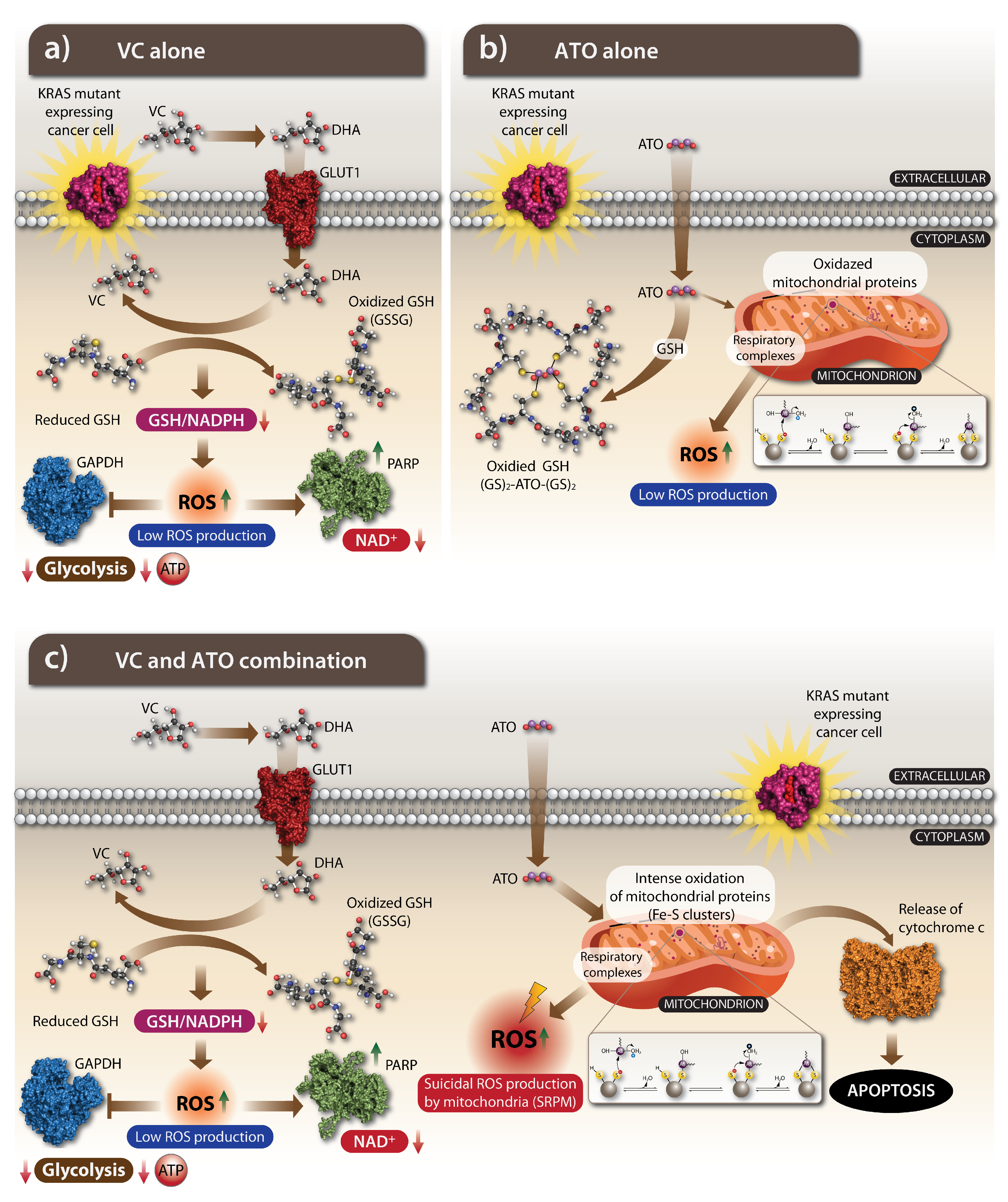 Cells 11 03454 g006 Cells 11 03454 g006