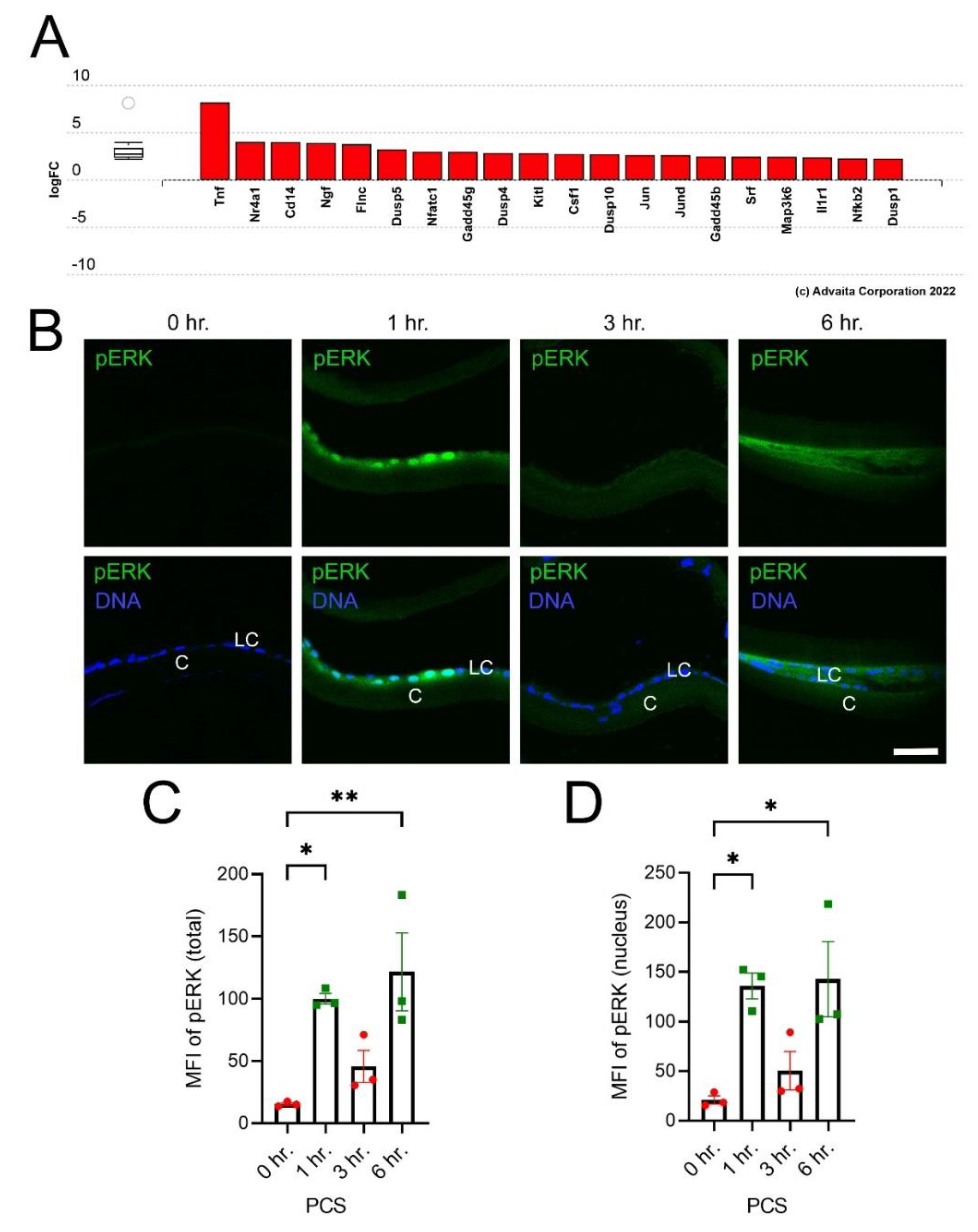 Cells 11 03456 g002 Cells 11 03456 g002