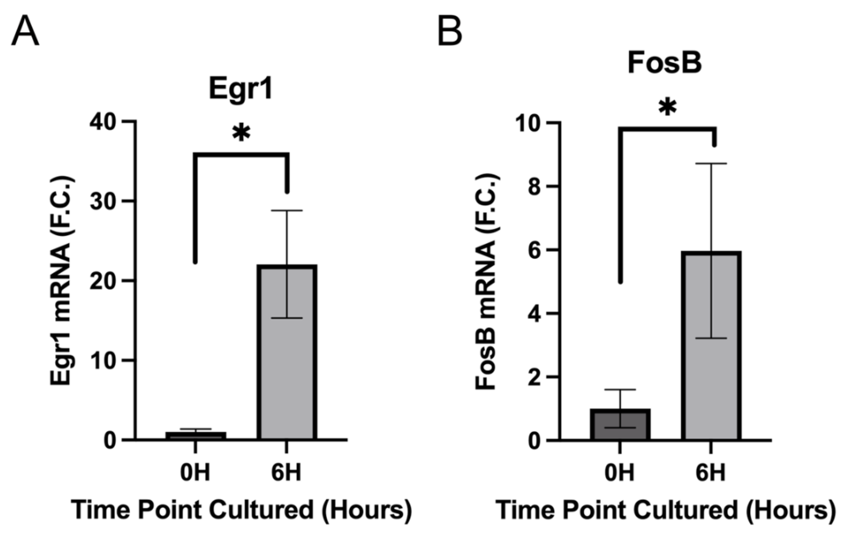 Cells 11 03456 g005 Cells 11 03456 g005