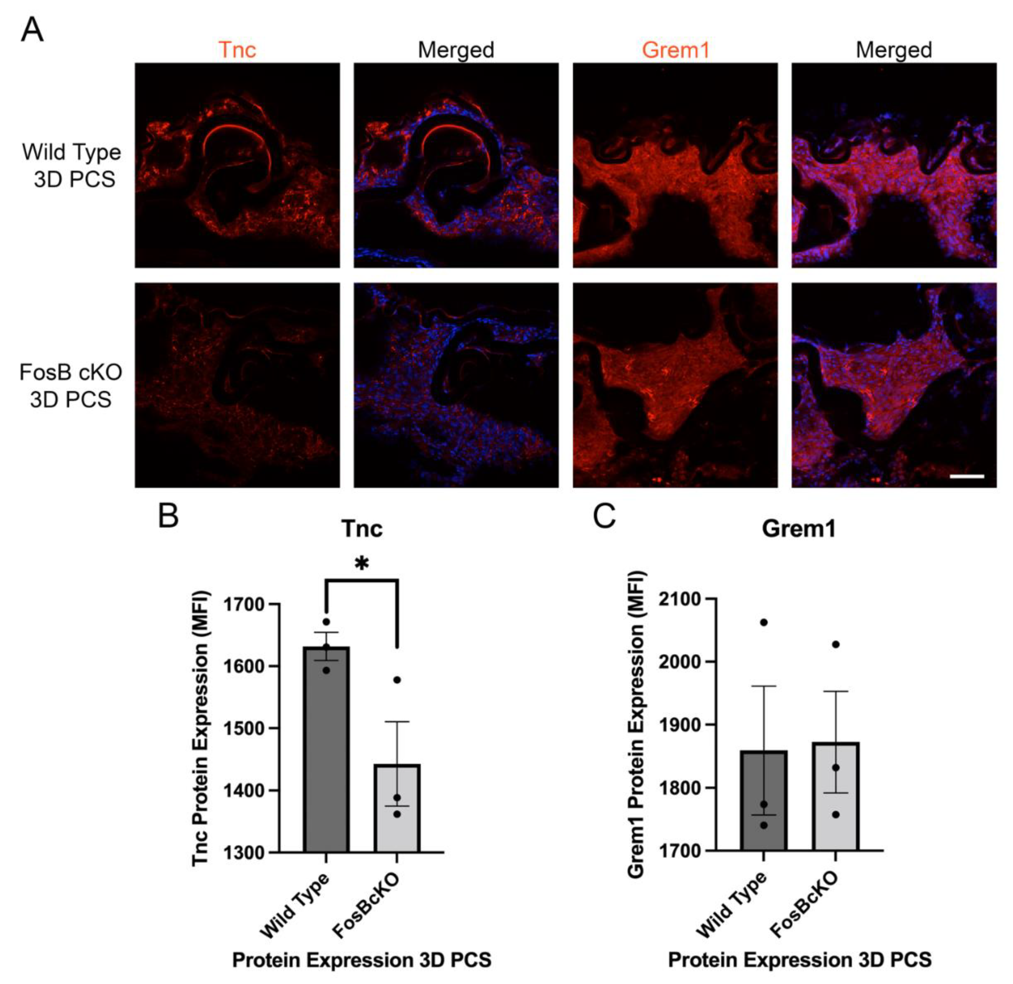 Cells 11 03456 g010 Cells 11 03456 g010