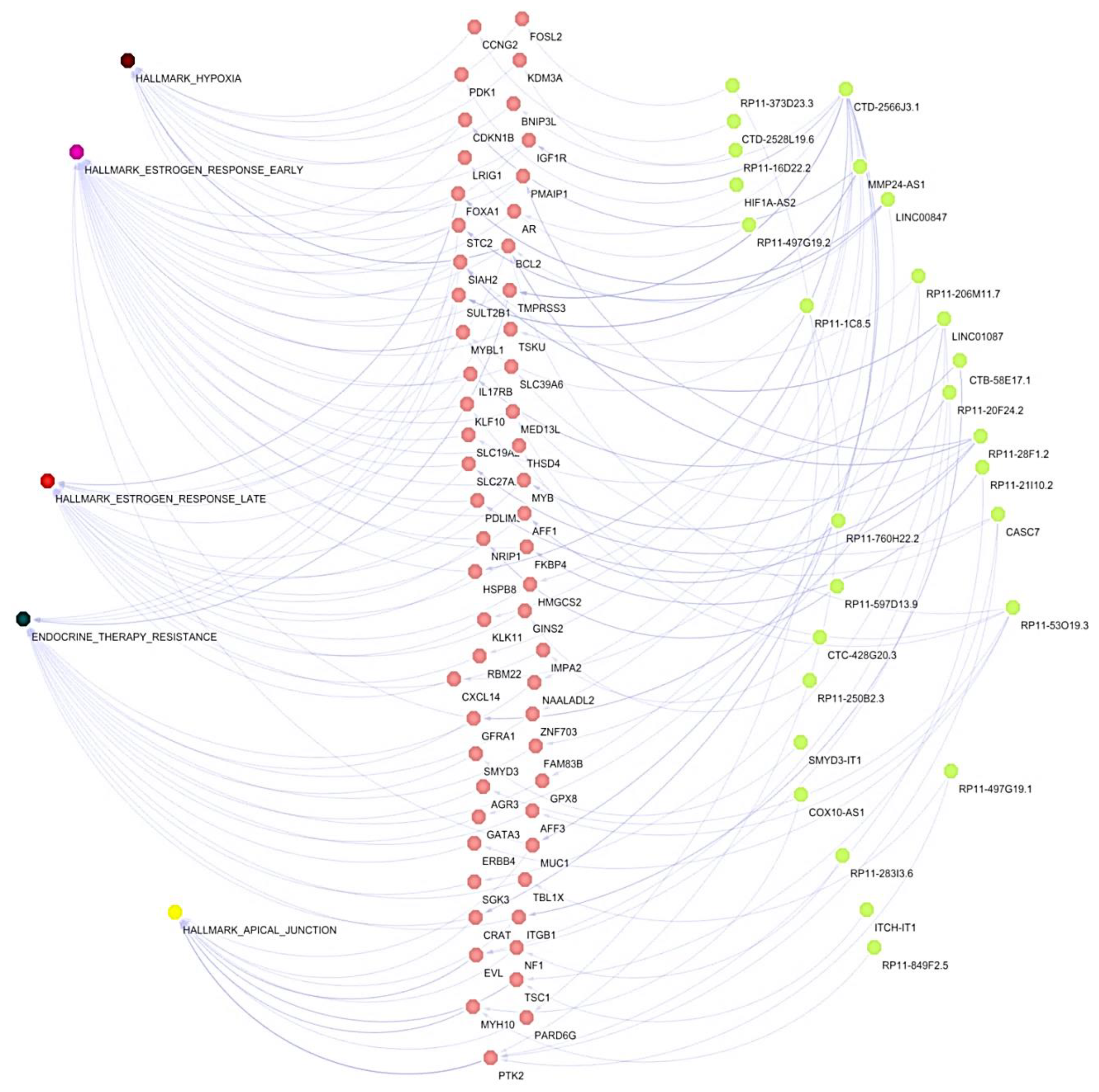 Cells 11 03458 g005 Cells 11 03458 g005