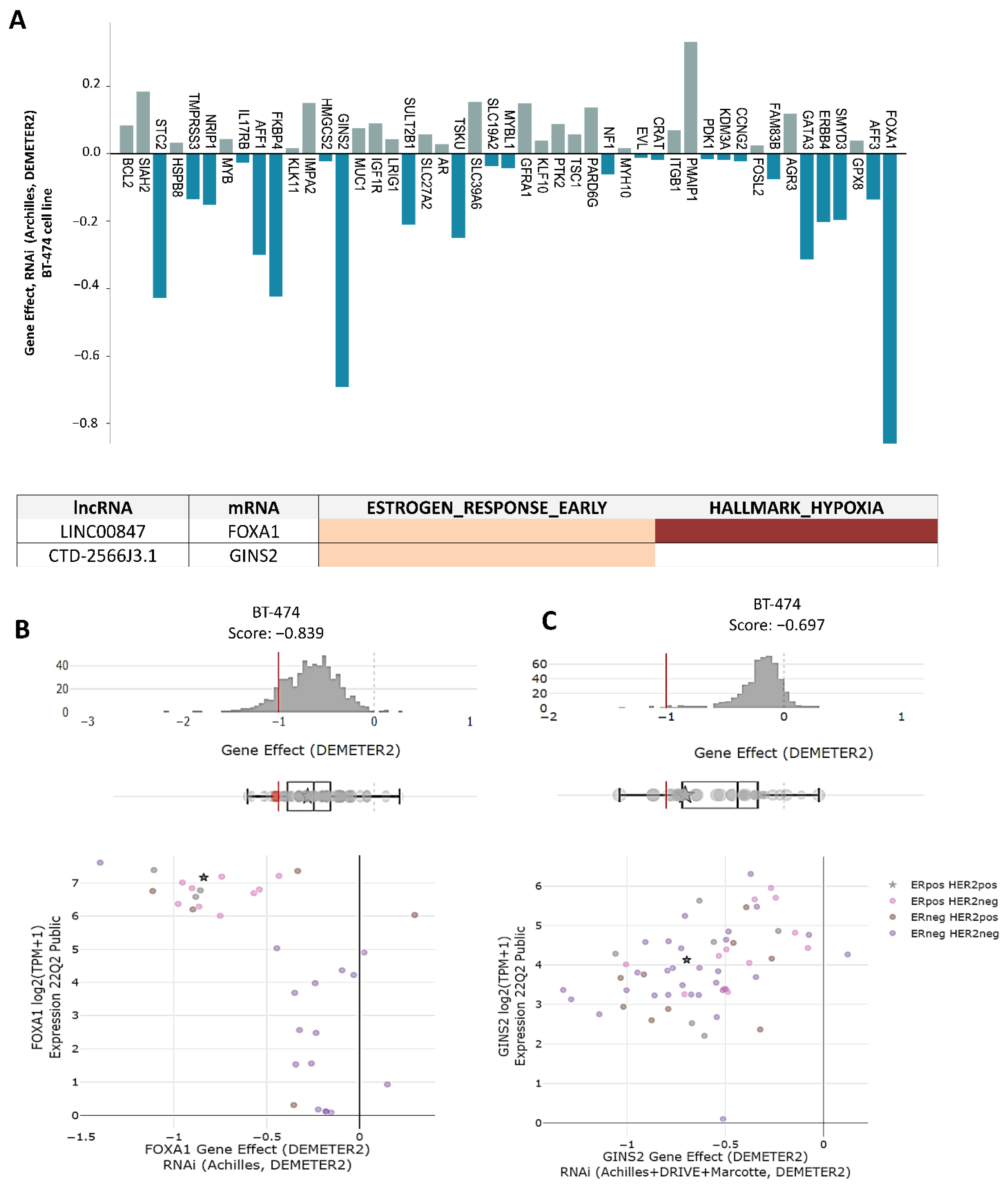 Cells 11 03458 g007 Cells 11 03458 g007