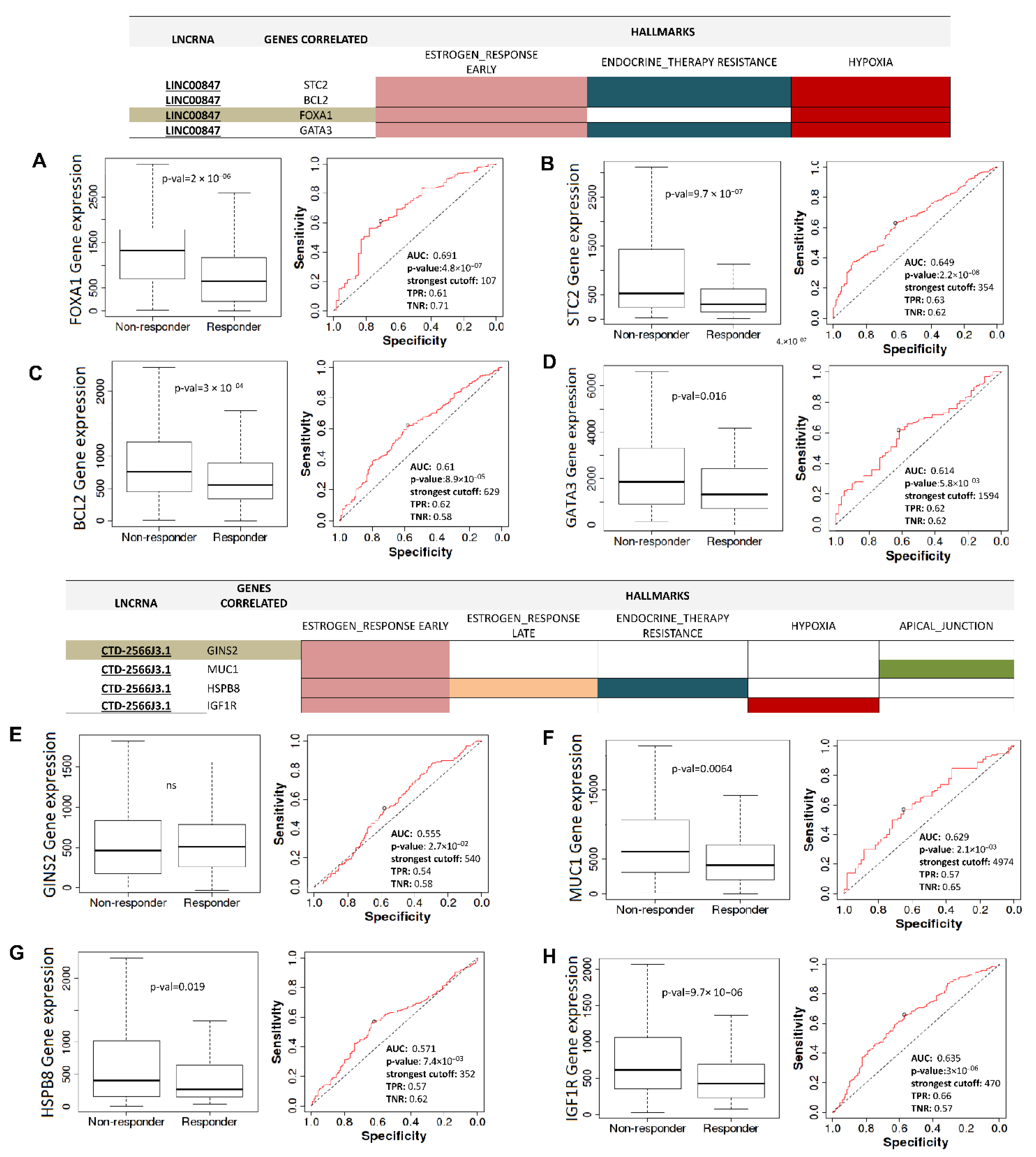 Cells 11 03458 g009 Cells 11 03458 g009