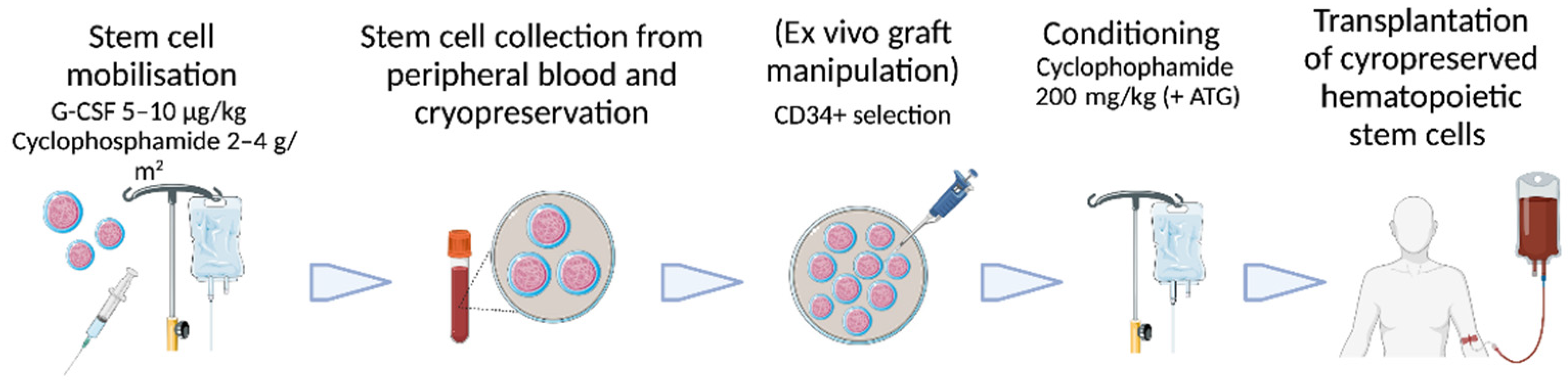 Cells 11 03463 g001 Cells 11 03463 g001