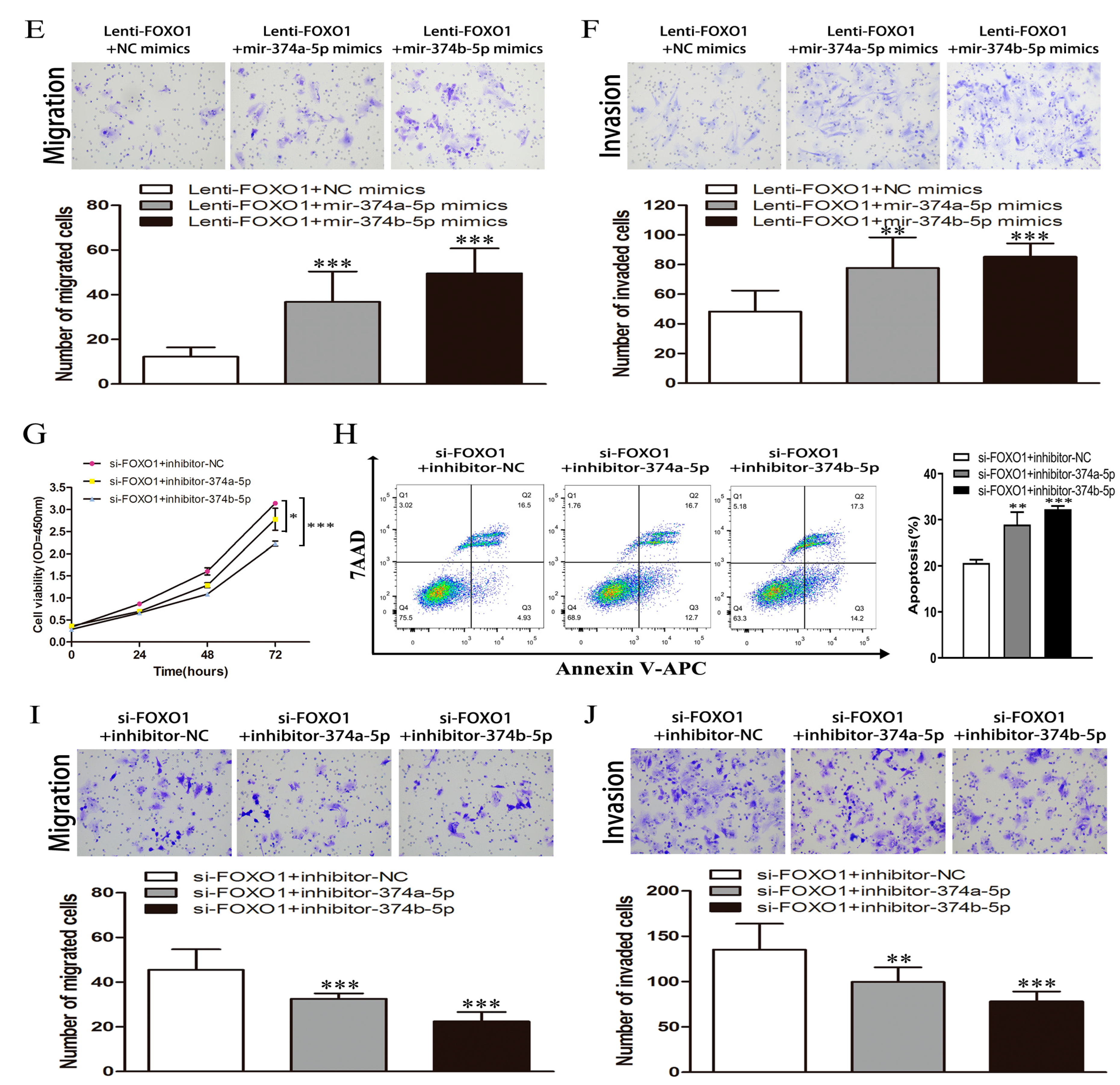 Cells 11 03466 g010b