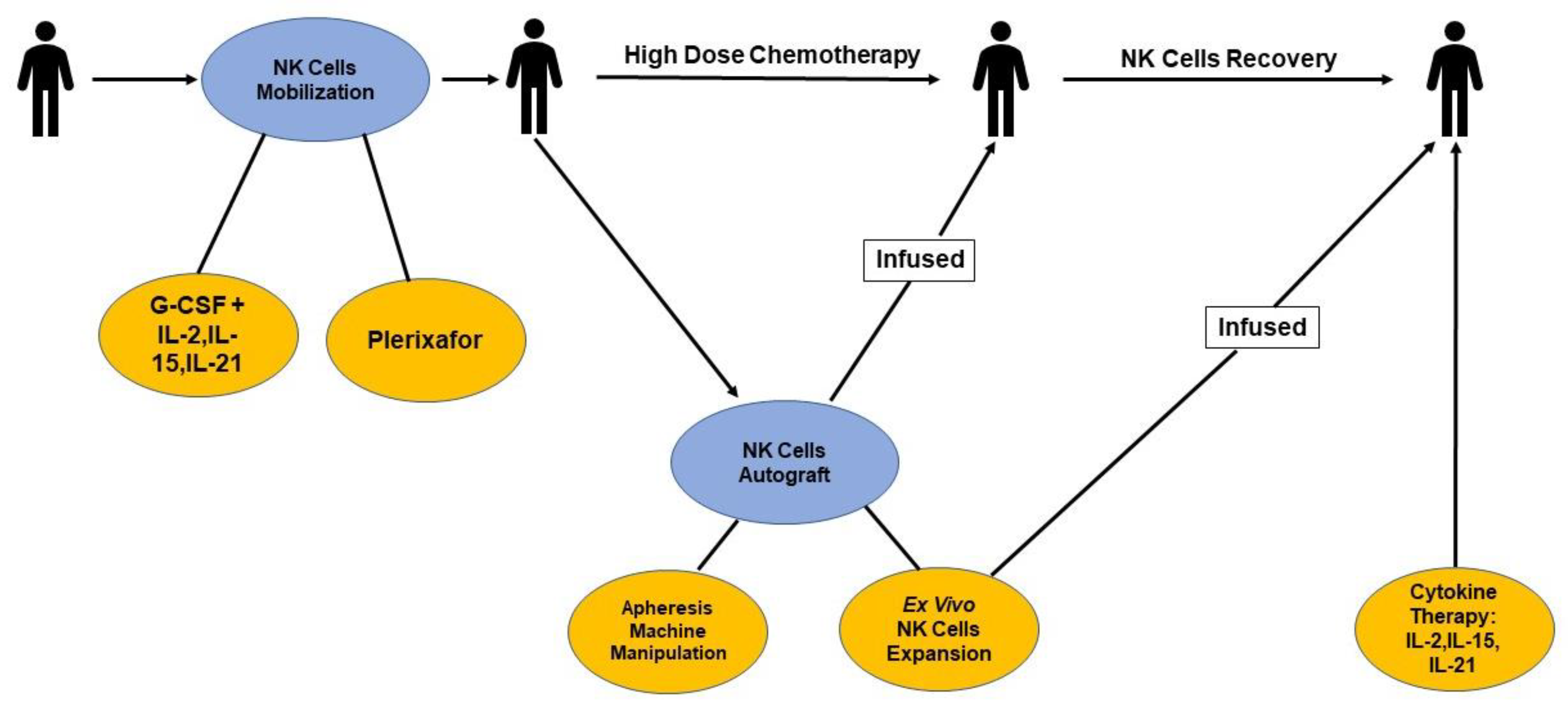Stem Cell Penny Stock 30 - 6tebnv0