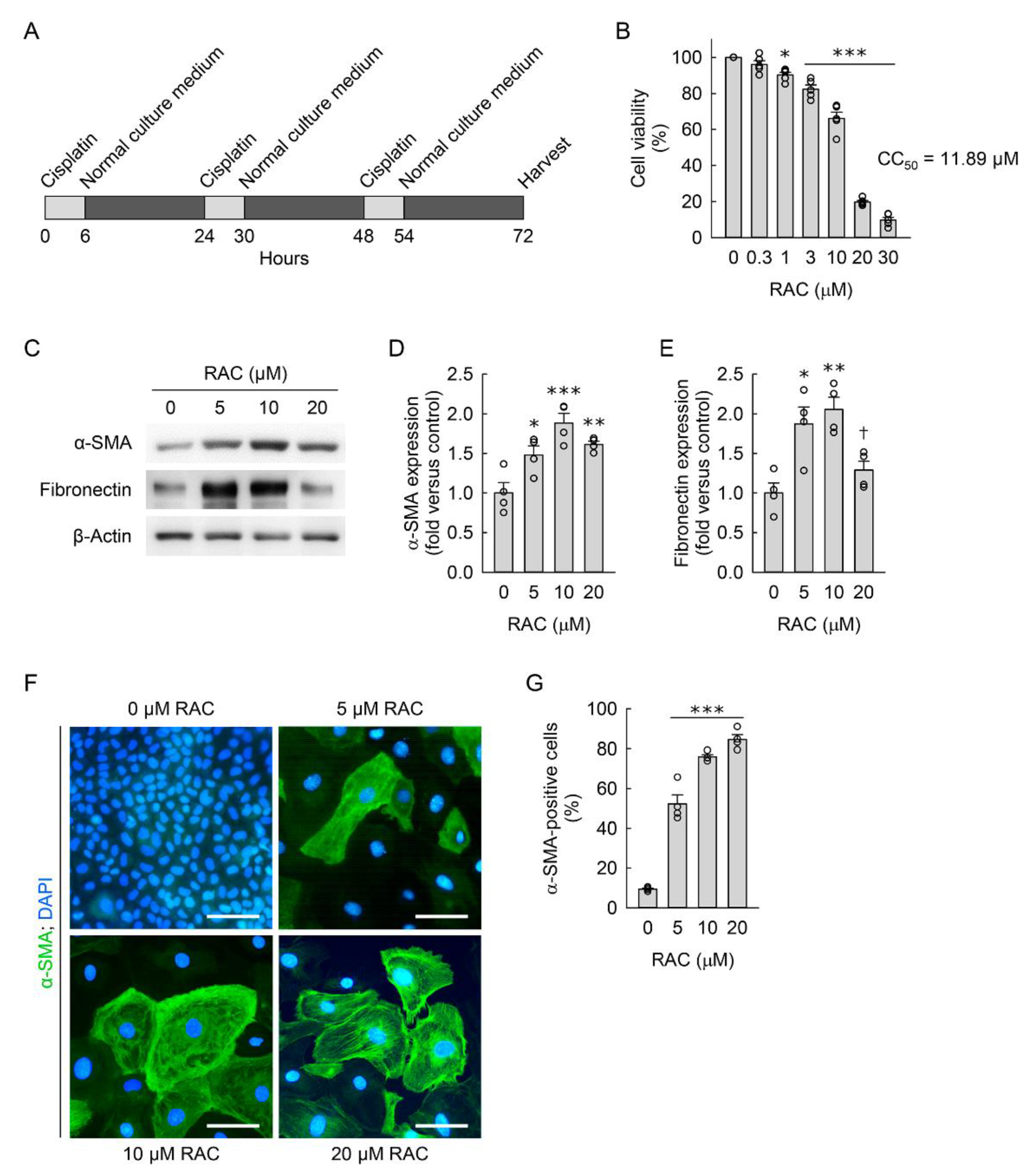 Cells 11 03472 g001 Cells 11 03472 g001
