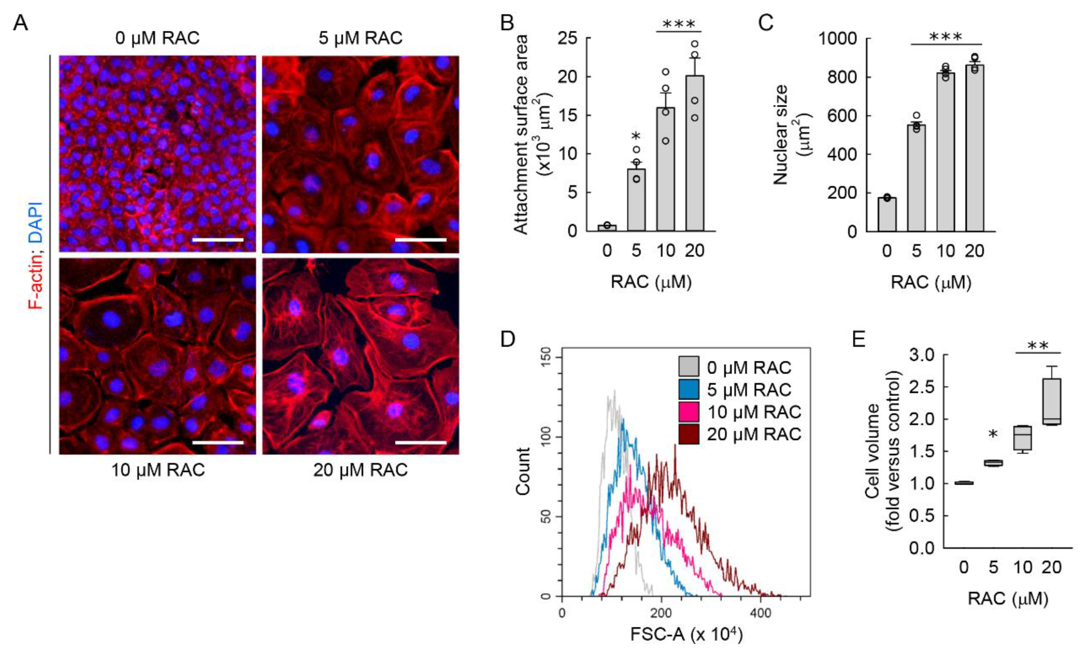 Cells 11 03472 g002 Cells 11 03472 g002