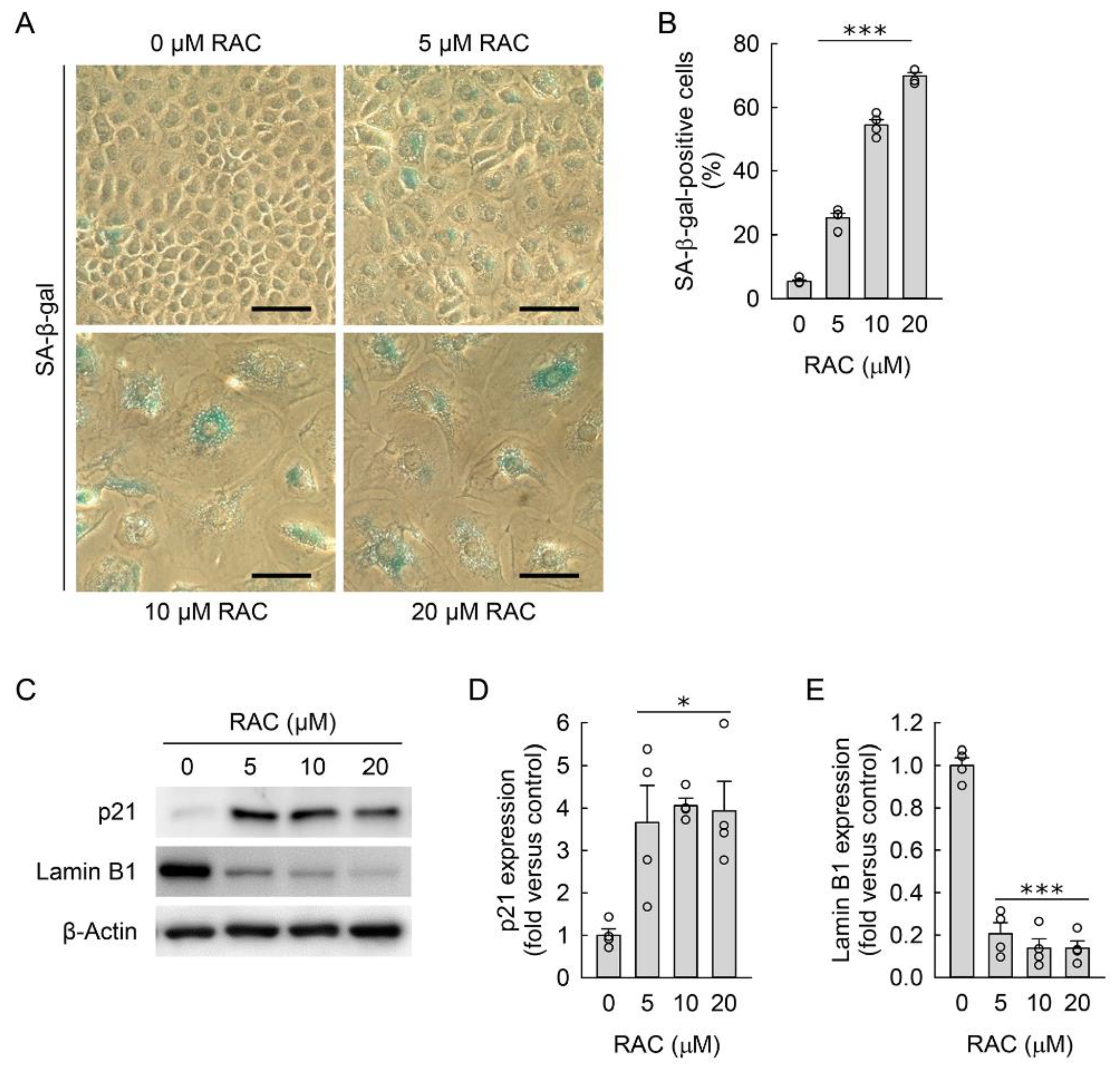 Cells 11 03472 g003 Cells 11 03472 g003