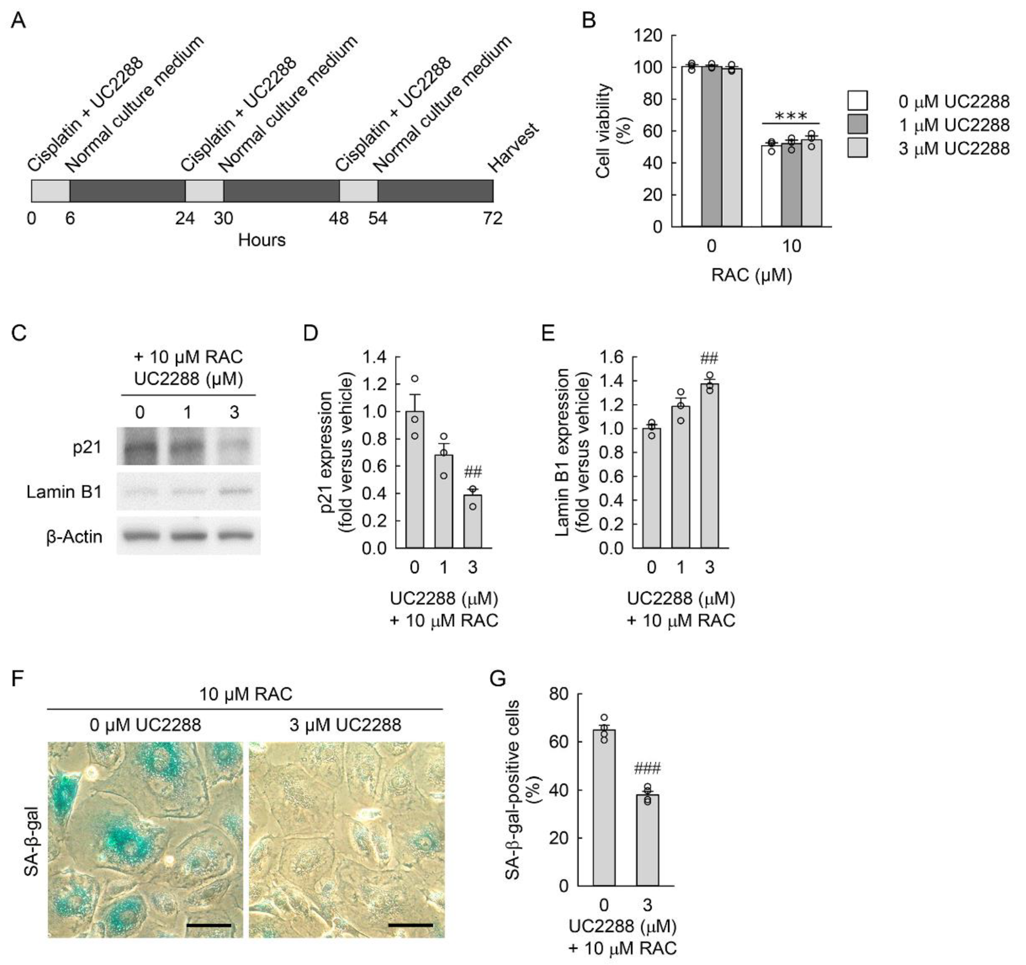 Cells 11 03472 g004 Cells 11 03472 g004