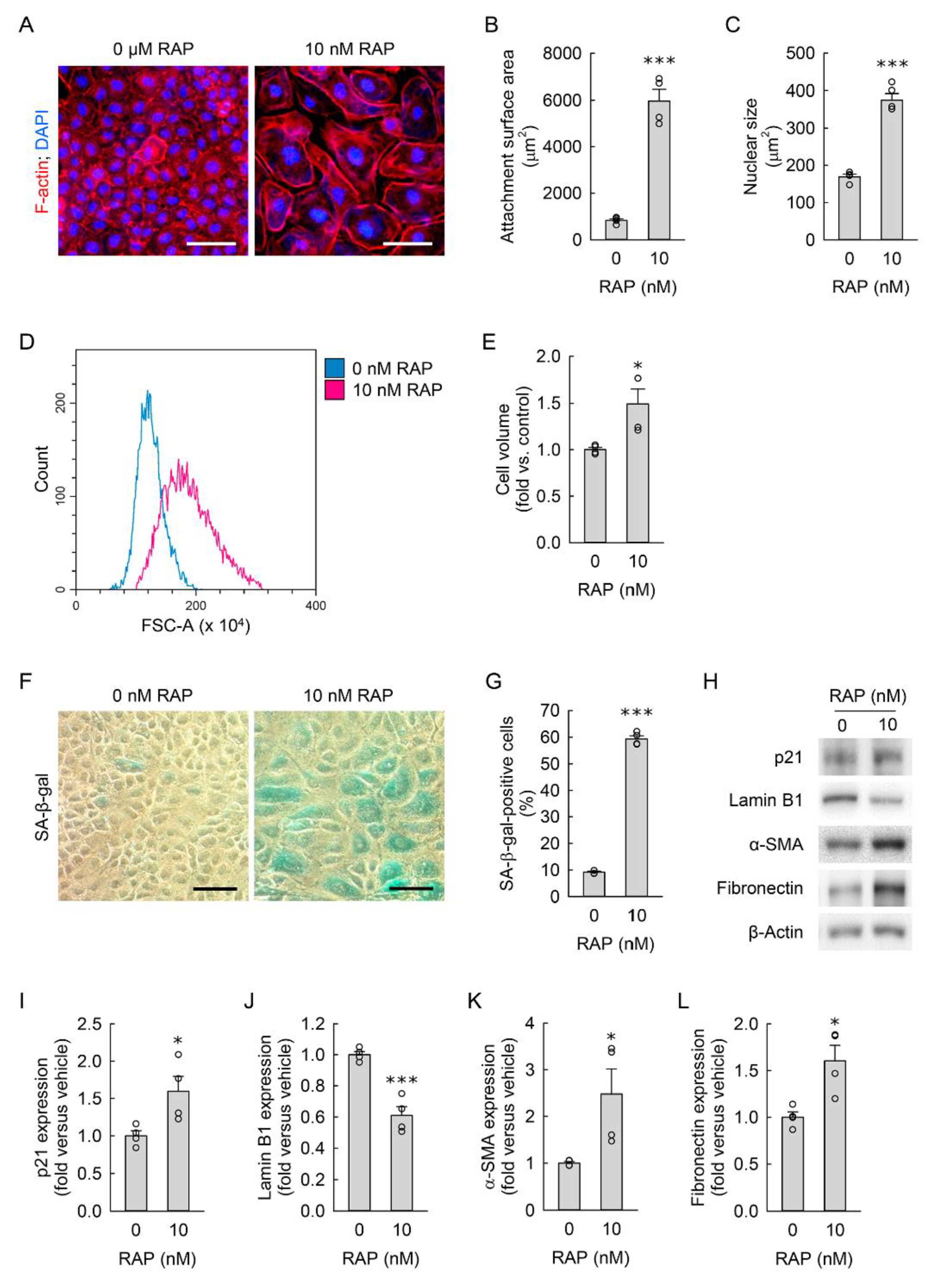 Cells 11 03472 g008 Cells 11 03472 g008