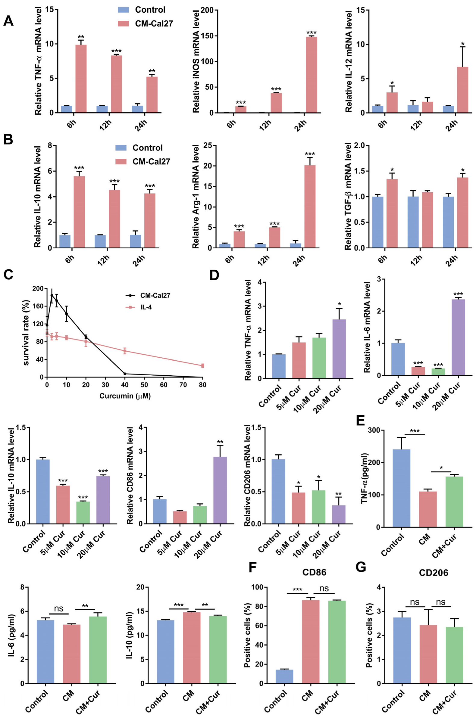 Cells 11 03473 g001 Cells 11 03473 g001