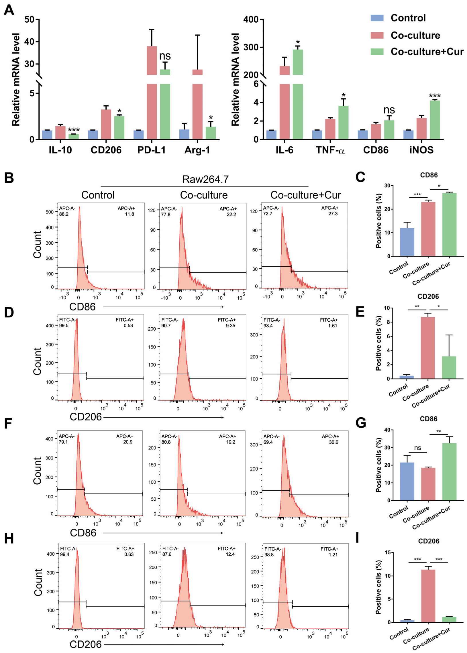 Cells 11 03473 g002 Cells 11 03473 g002