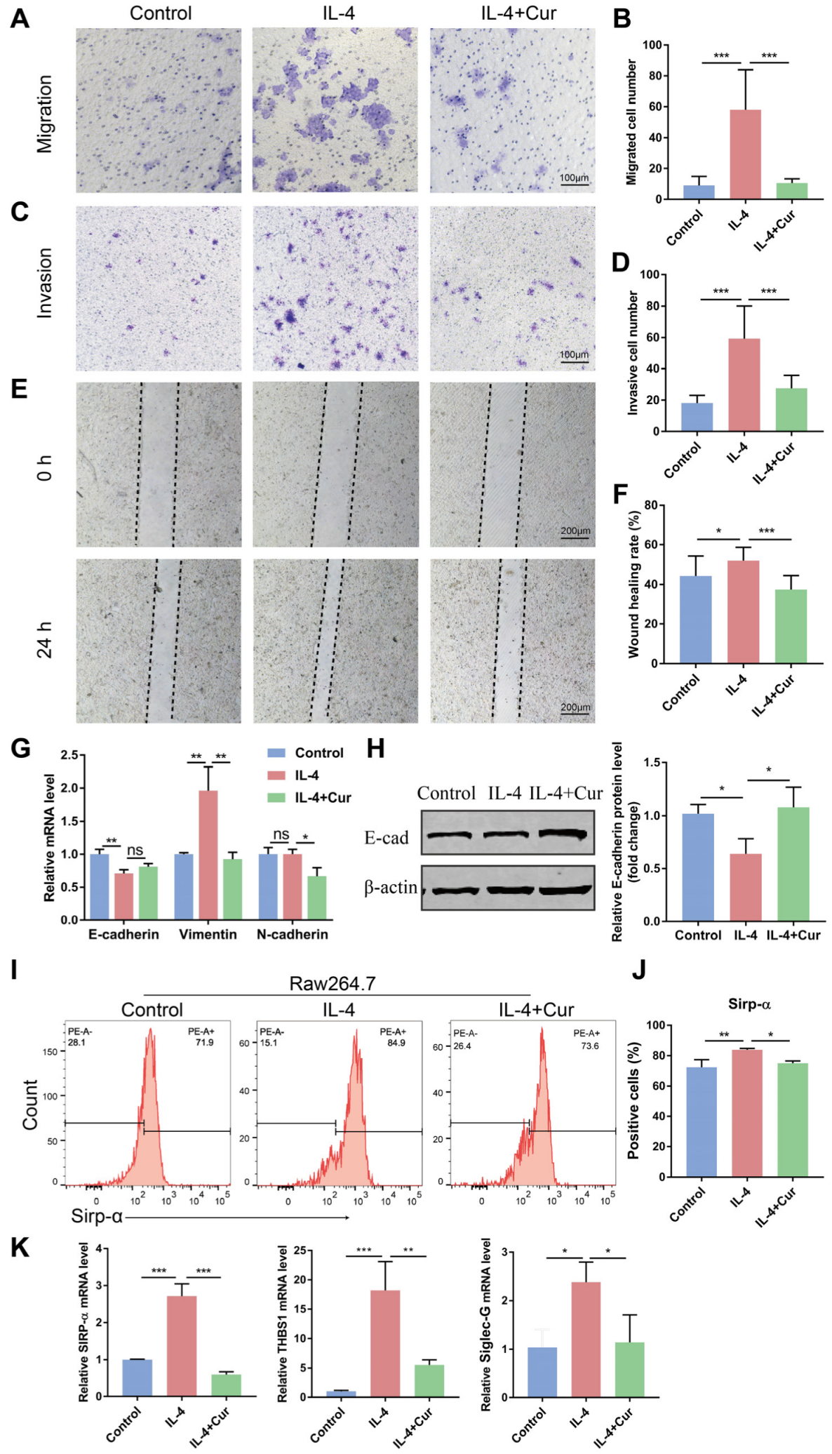 Cells 11 03473 g004 Cells 11 03473 g004