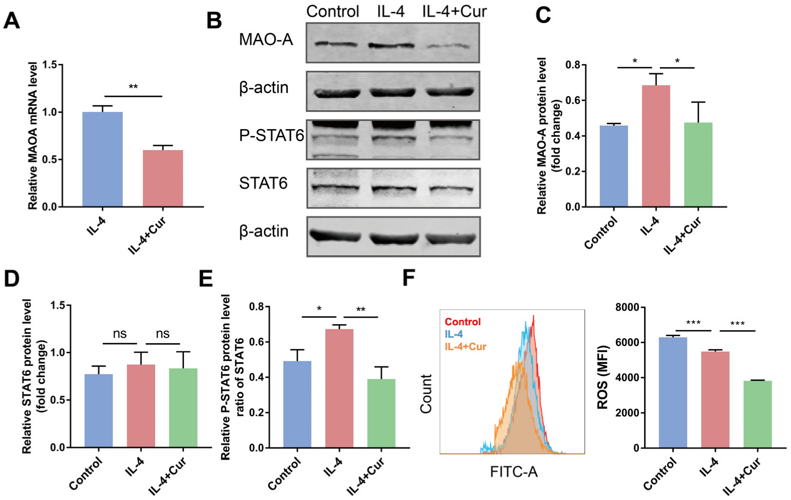 Cells 11 03473 g005 Cells 11 03473 g005