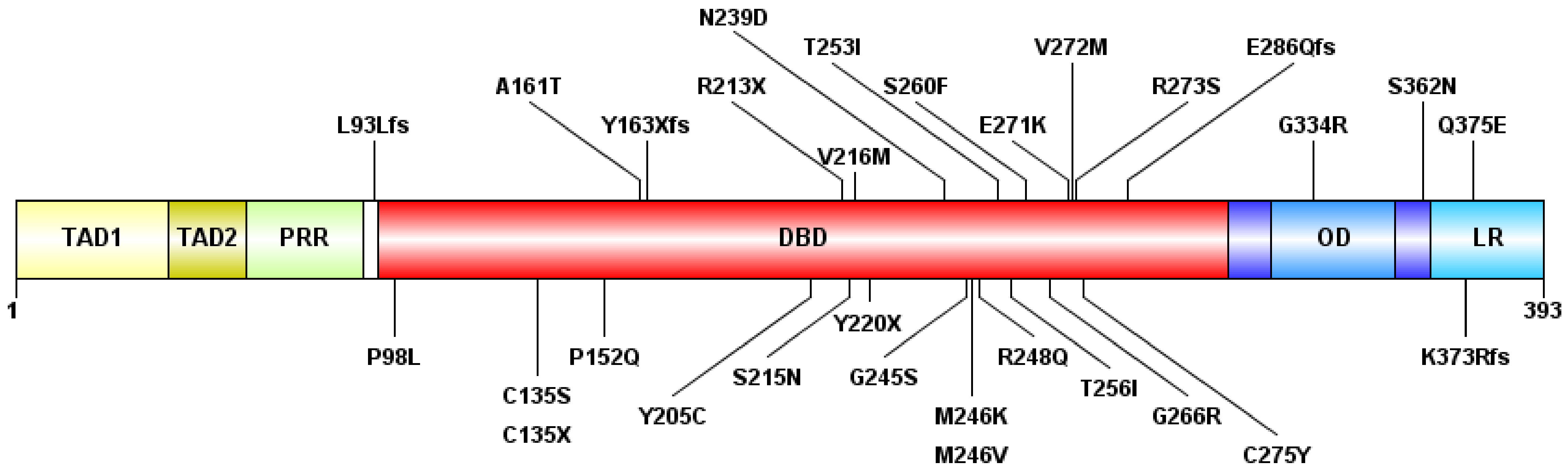 Cells 11 03475 g001 Cells 11 03475 g001