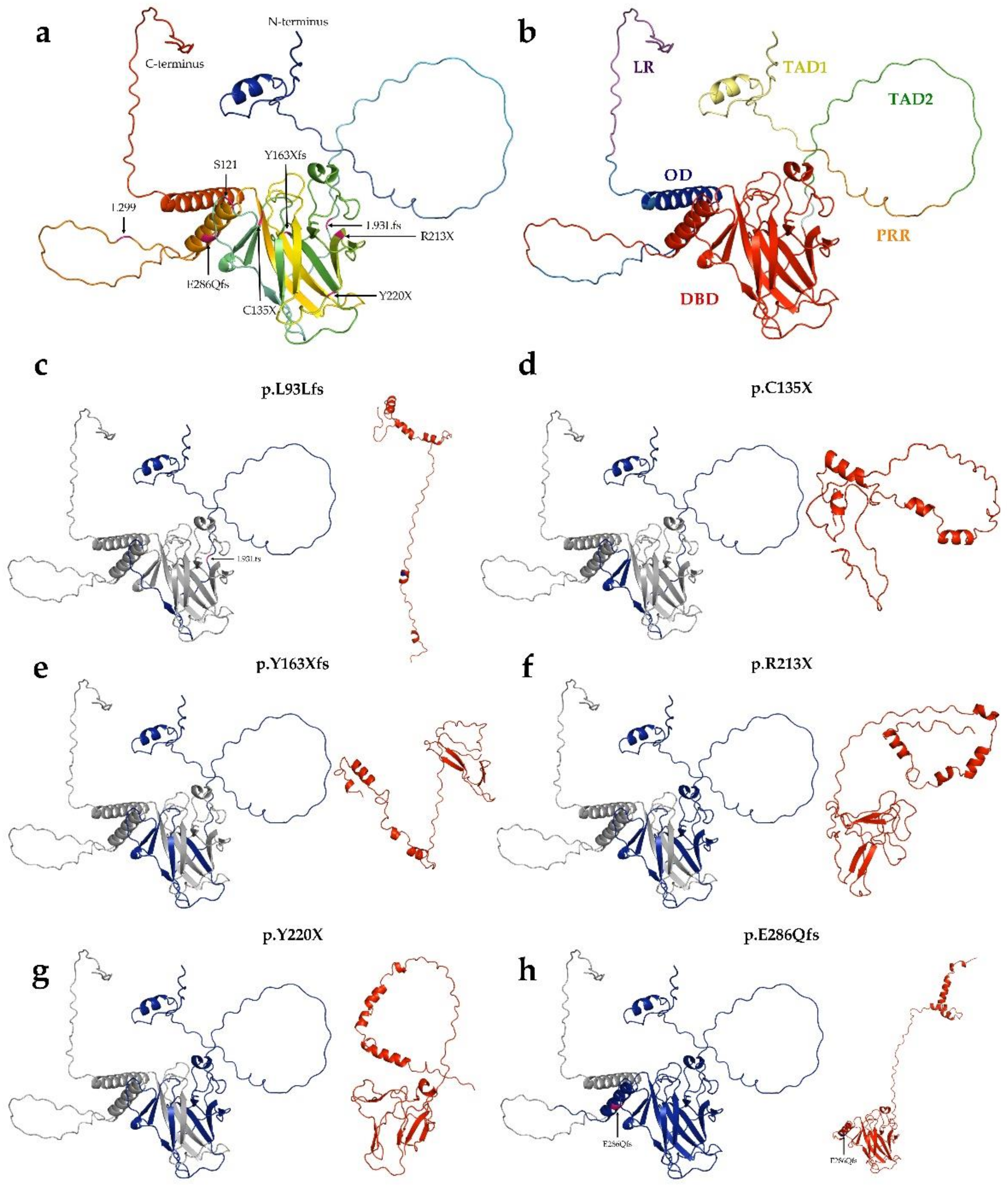 Cells 11 03475 g003 Cells 11 03475 g003