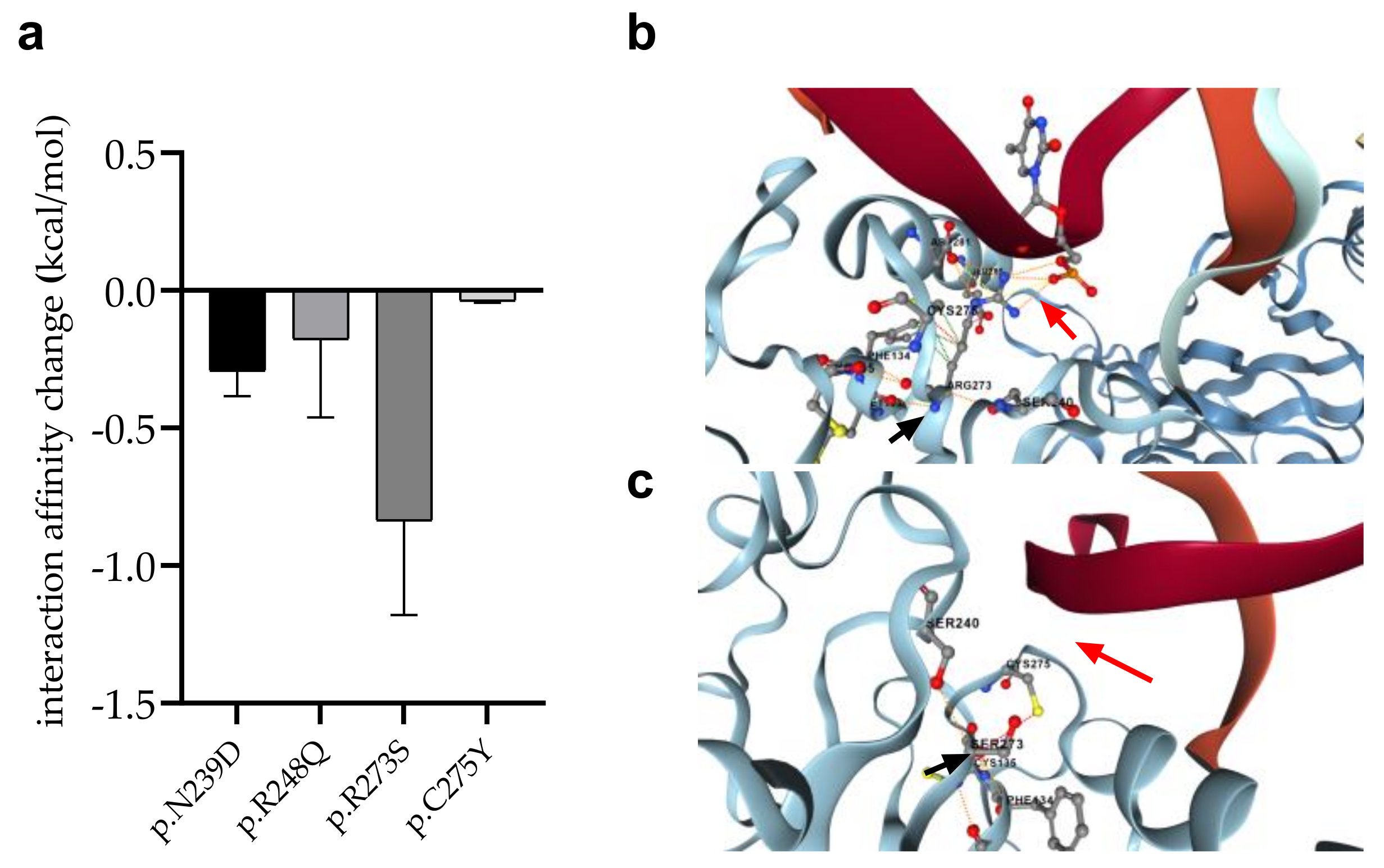 Cells 11 03475 g009 Cells 11 03475 g009