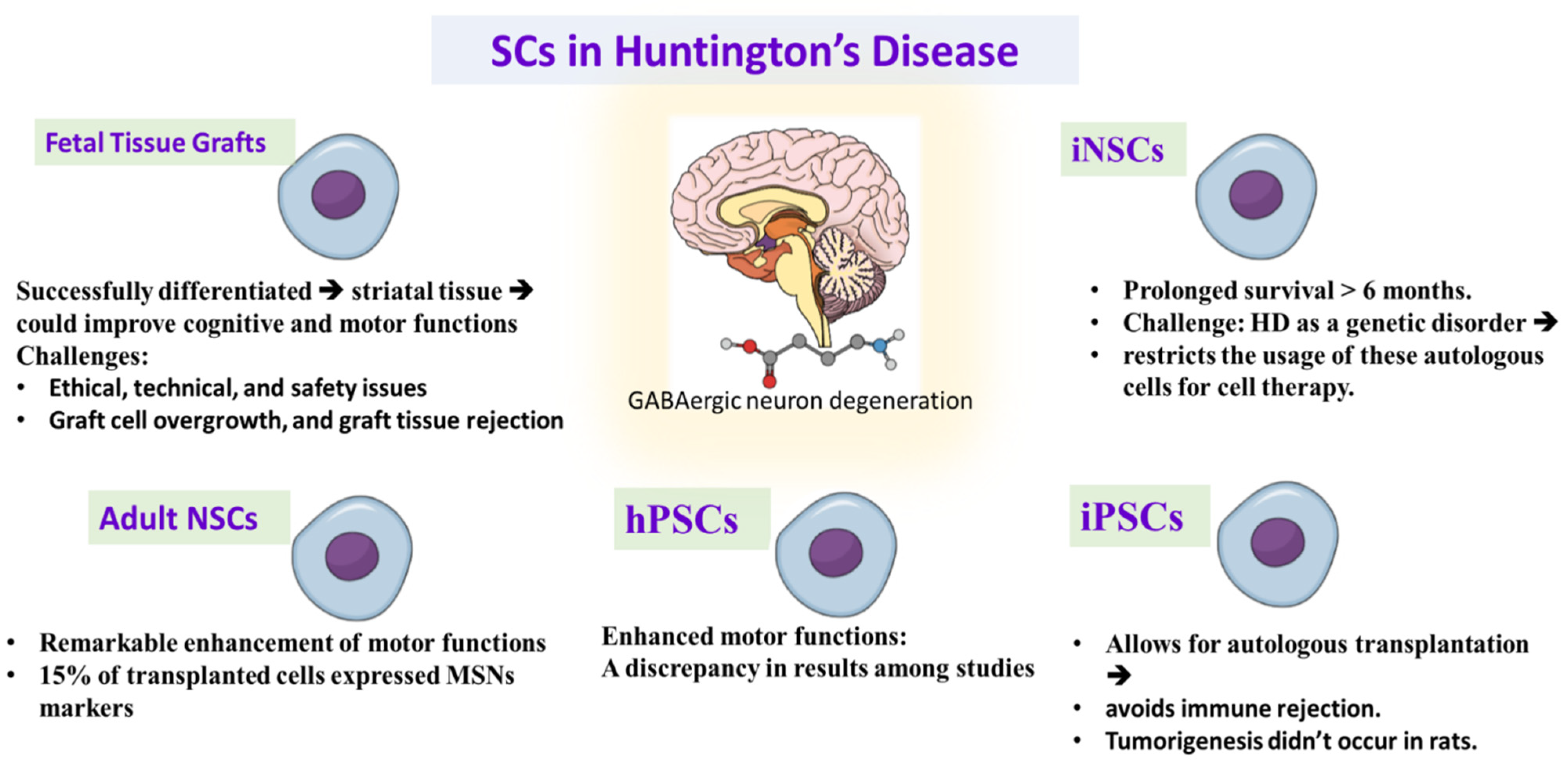 Cells 11 03476 g002 Cells 11 03476 g002