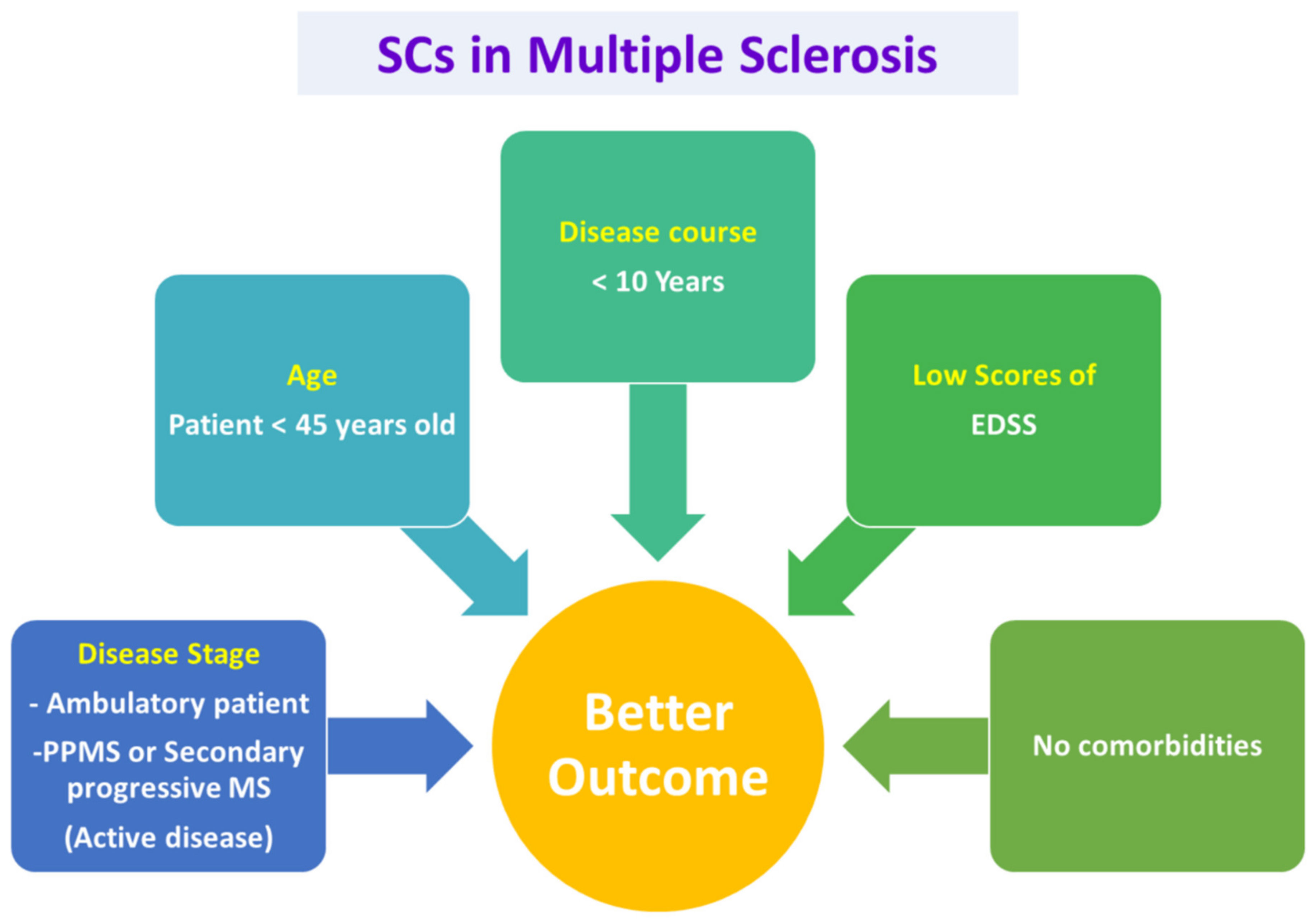 Cells 11 03476 g003 Cells 11 03476 g003
