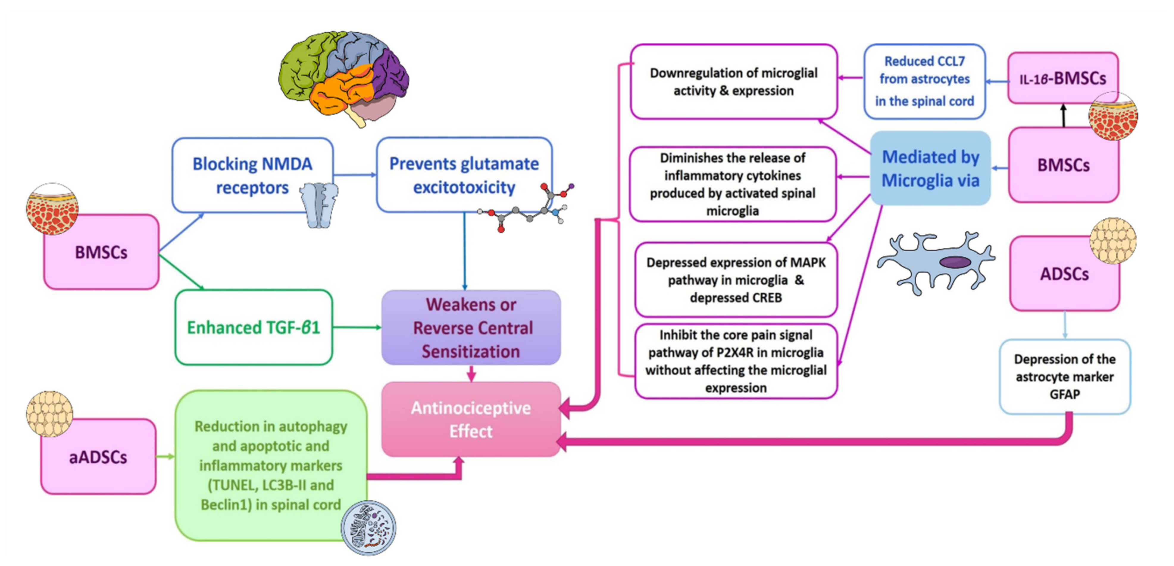 Cells 11 03476 g004 Cells 11 03476 g004