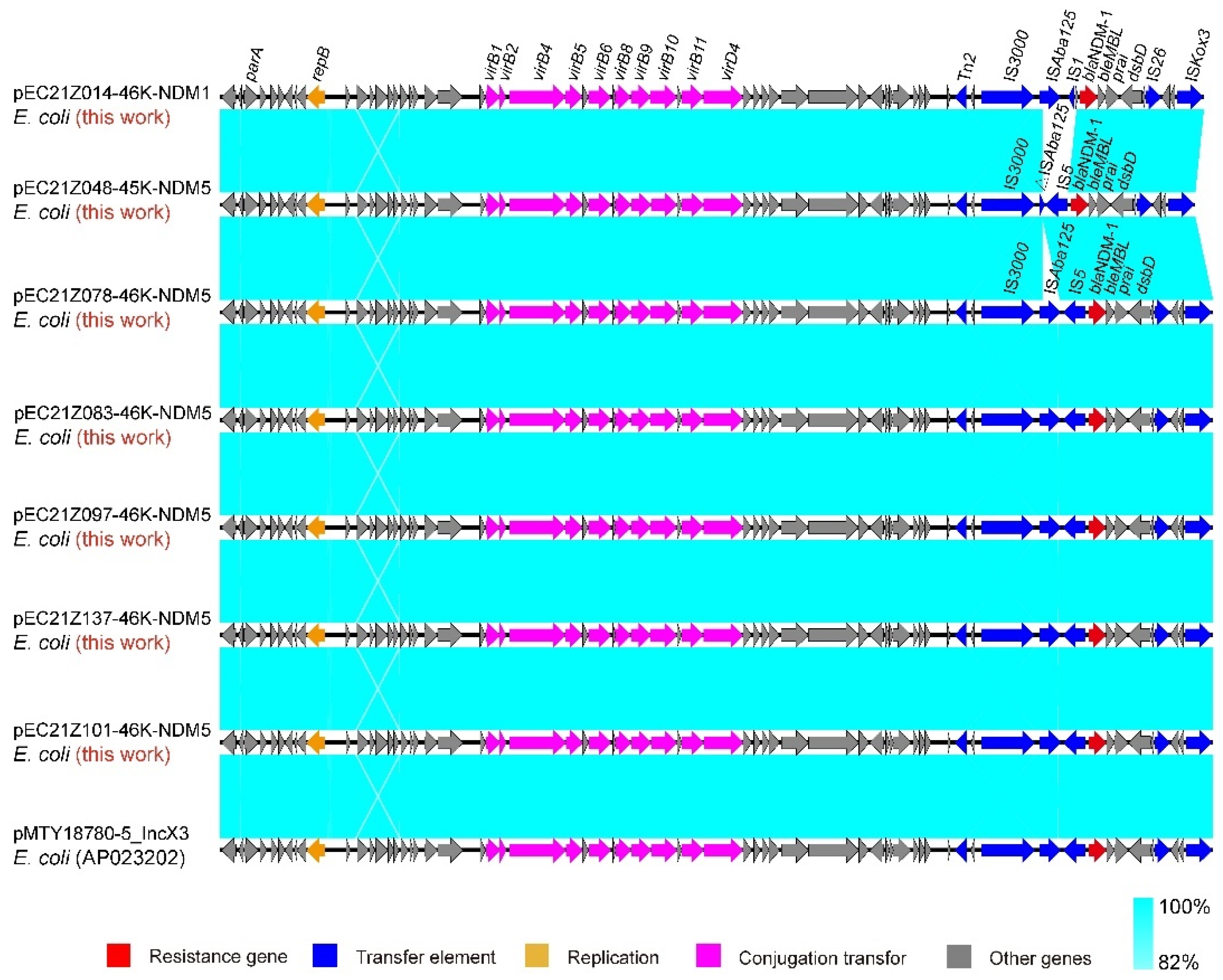 Cells 11 03480 g005 Cells 11 03480 g005