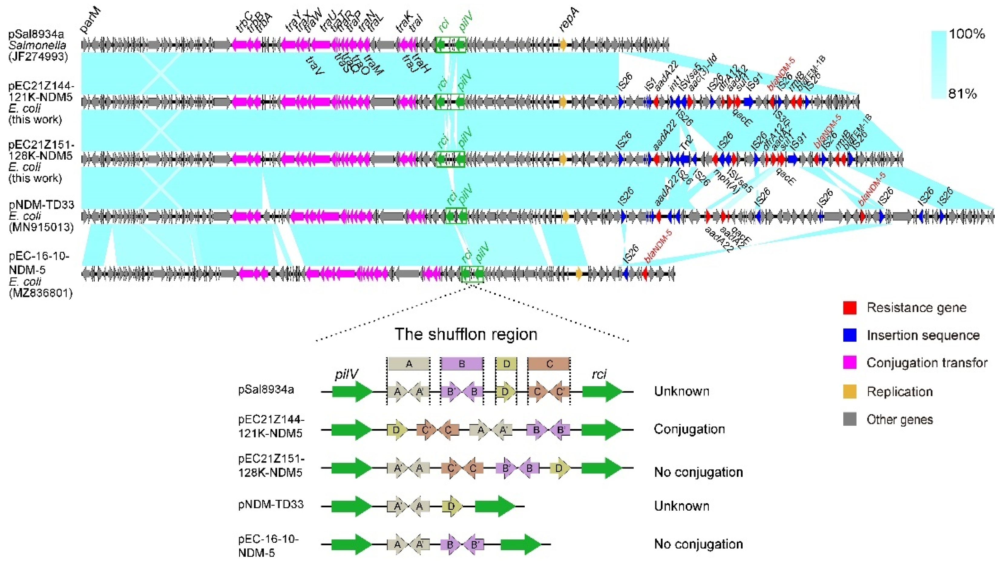 Cells 11 03480 g006 Cells 11 03480 g006
