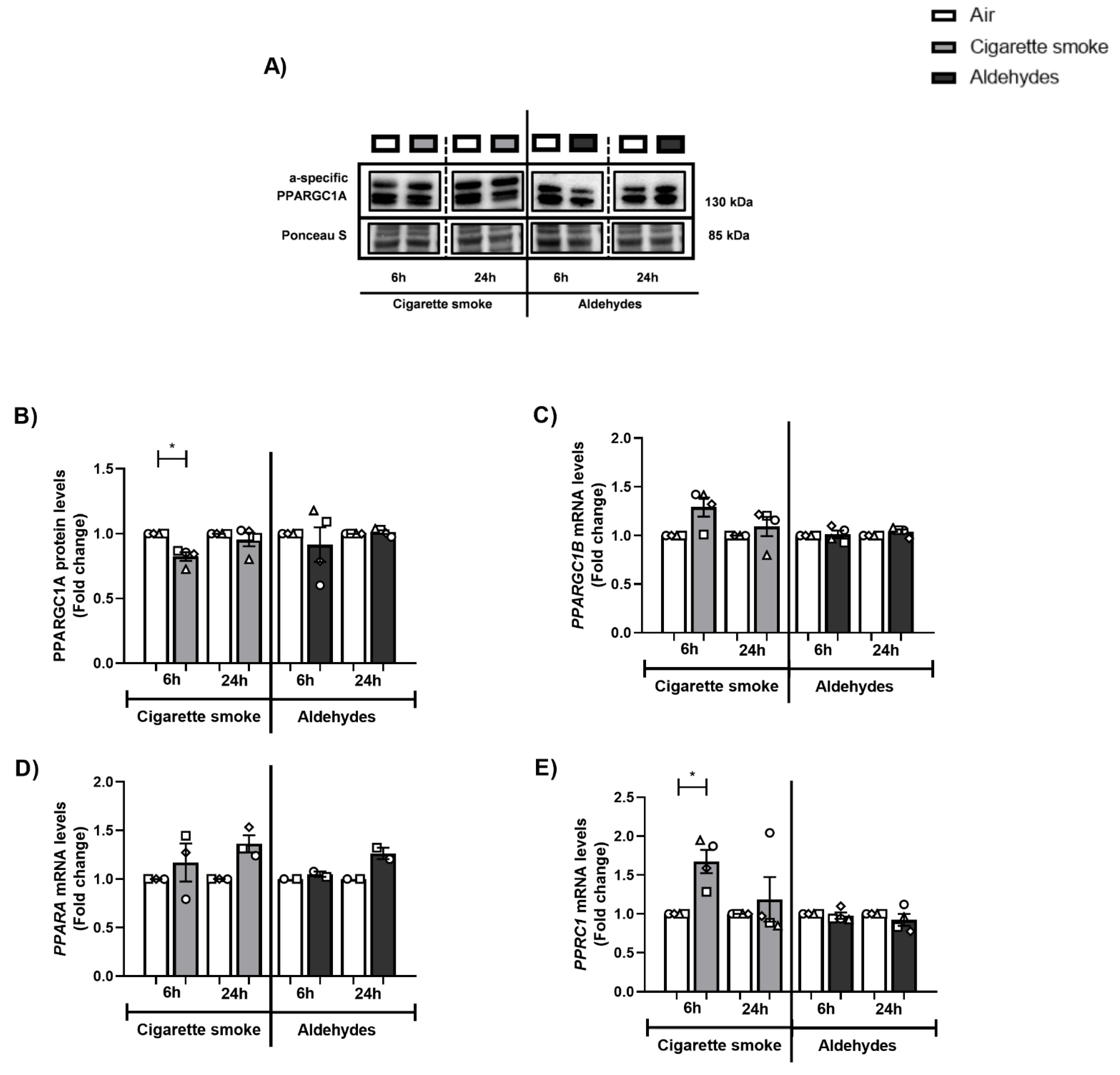 Cells 11 03481 g005 Cells 11 03481 g005