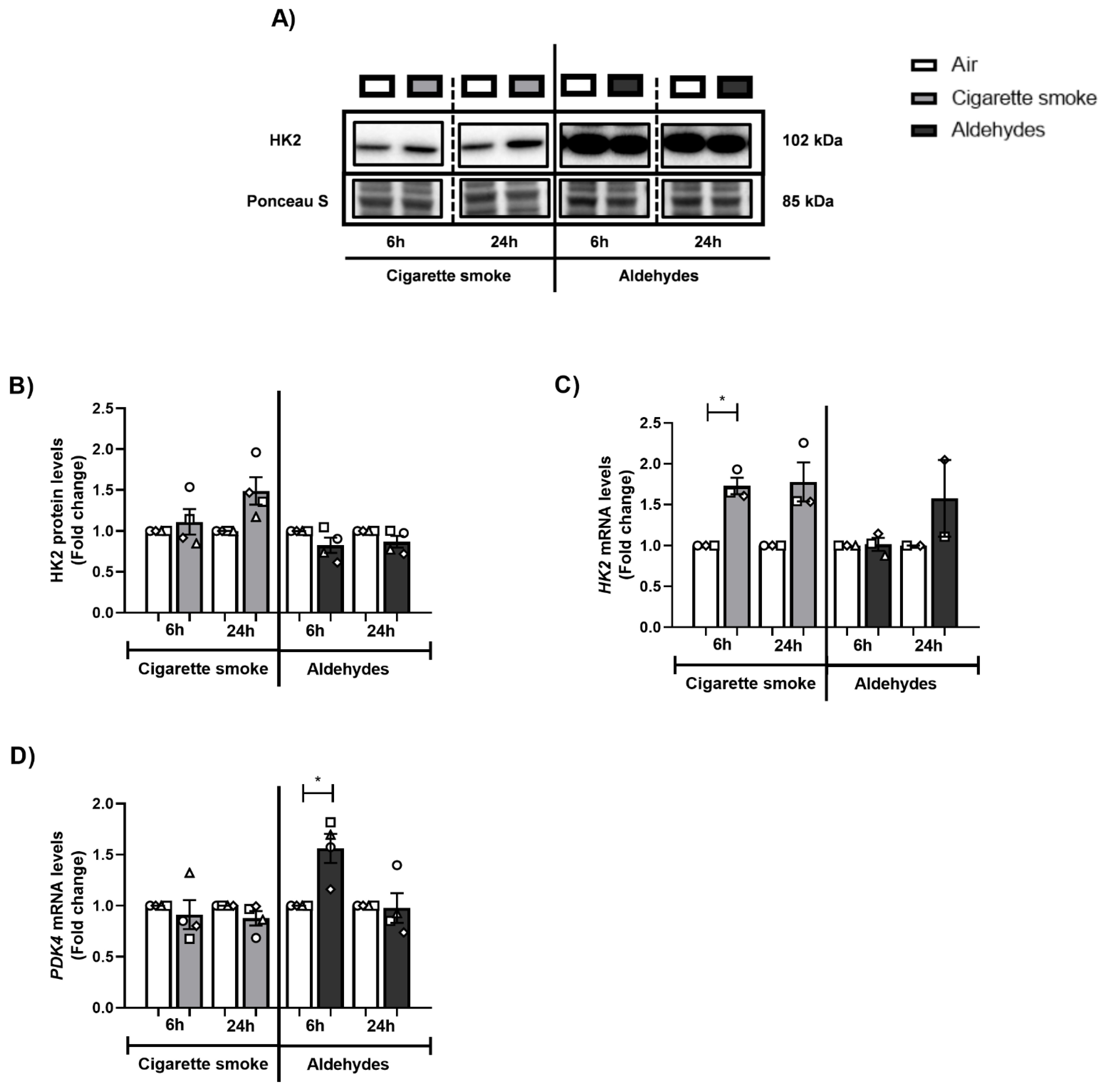 Cells 11 03481 g008 Cells 11 03481 g008