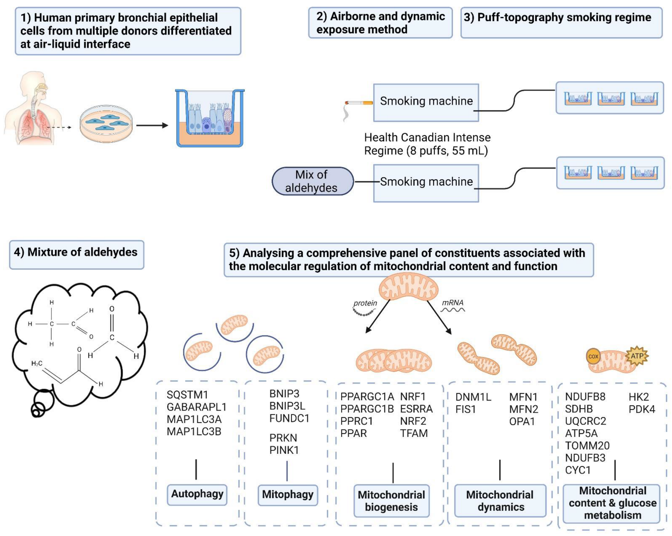 Cells 11 03481 g010 Cells 11 03481 g010