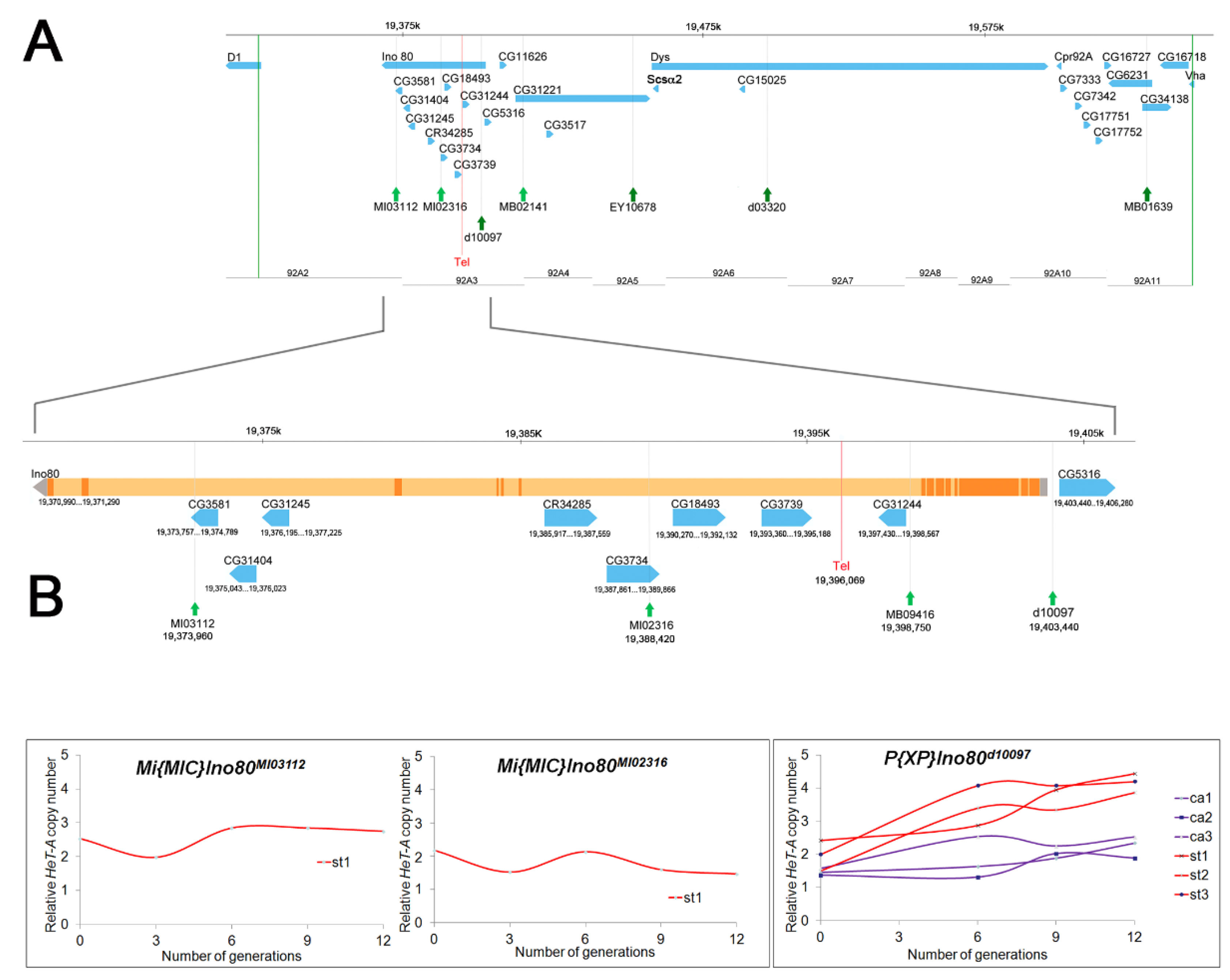 Cells 11 03484 g001 Cells 11 03484 g001