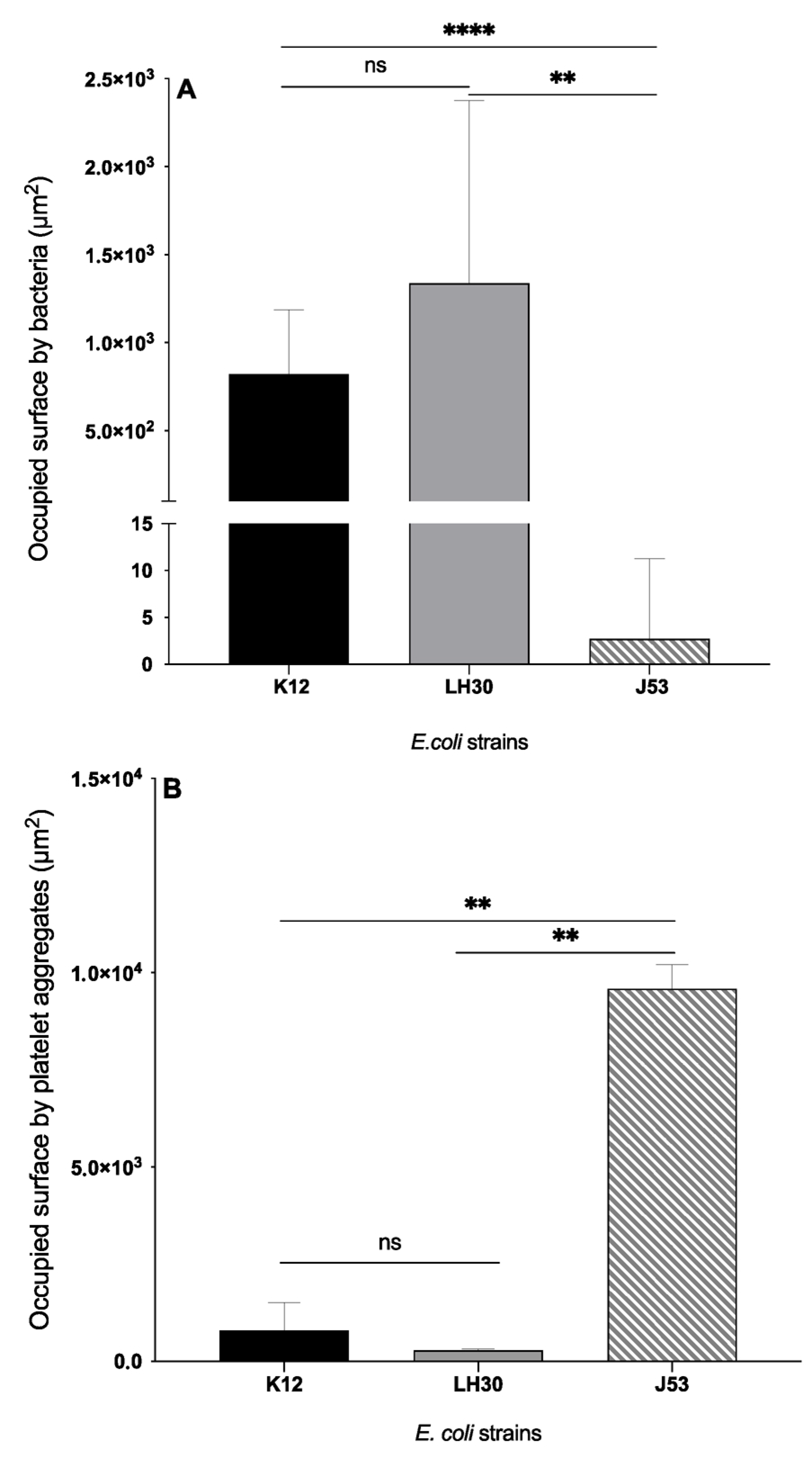 Cells 11 03495 g002 Cells 11 03495 g002