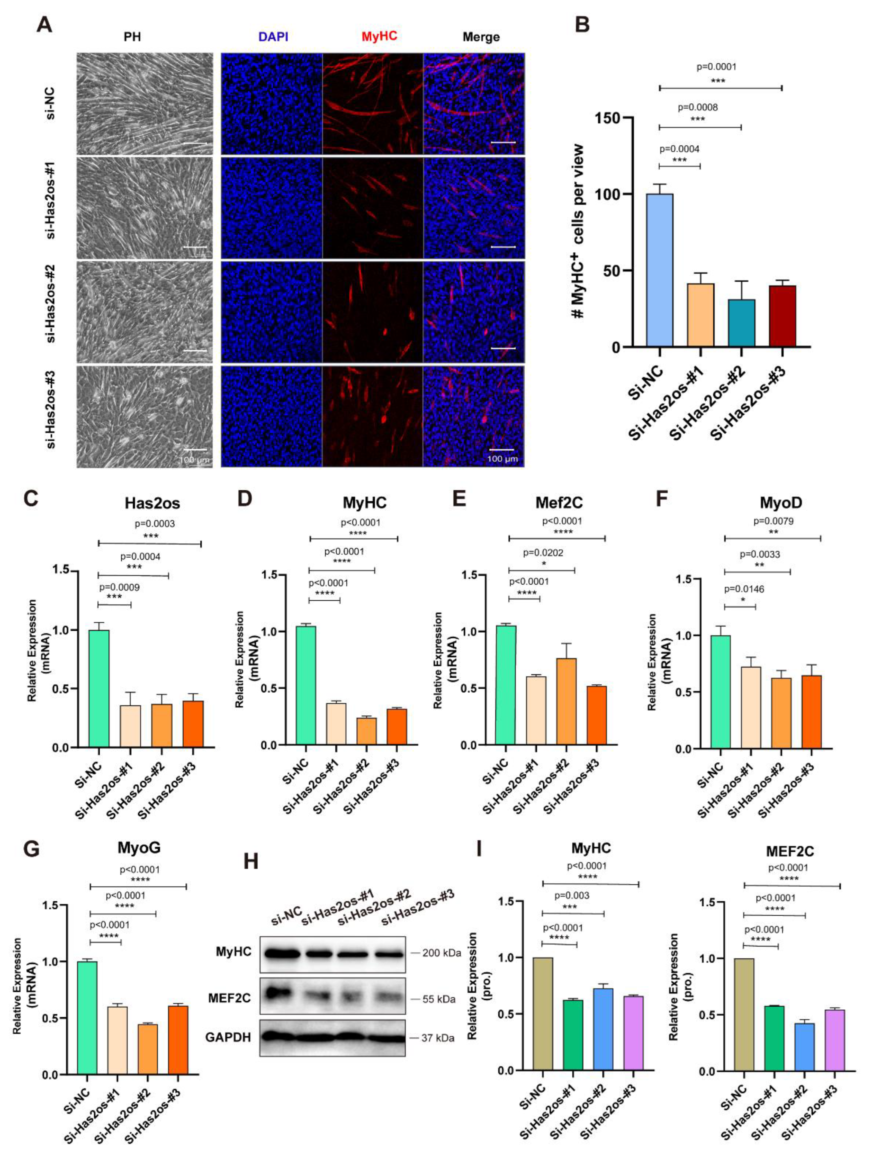 Cells 11 03497 g003 Cells 11 03497 g003