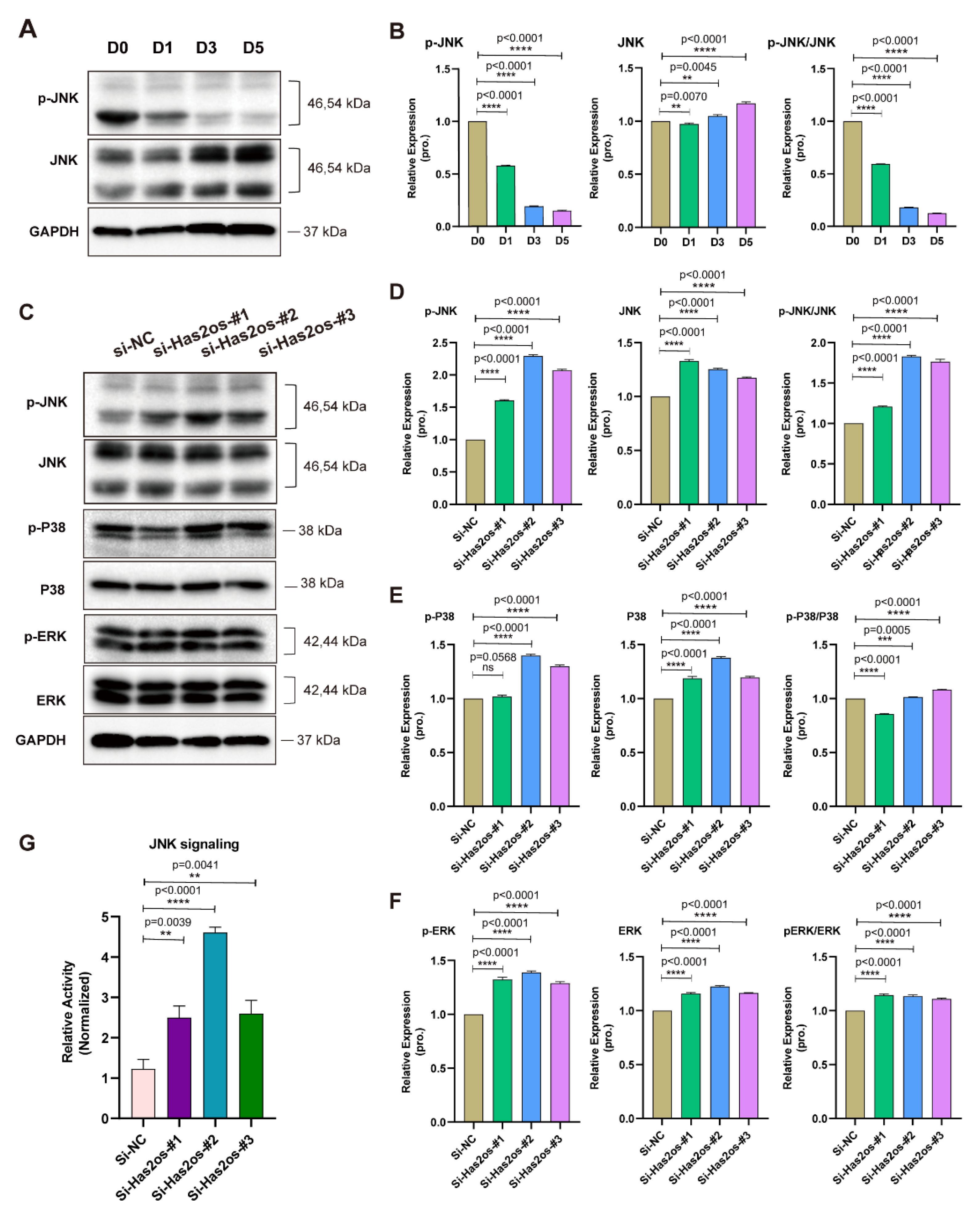 Cells 11 03497 g004 Cells 11 03497 g004