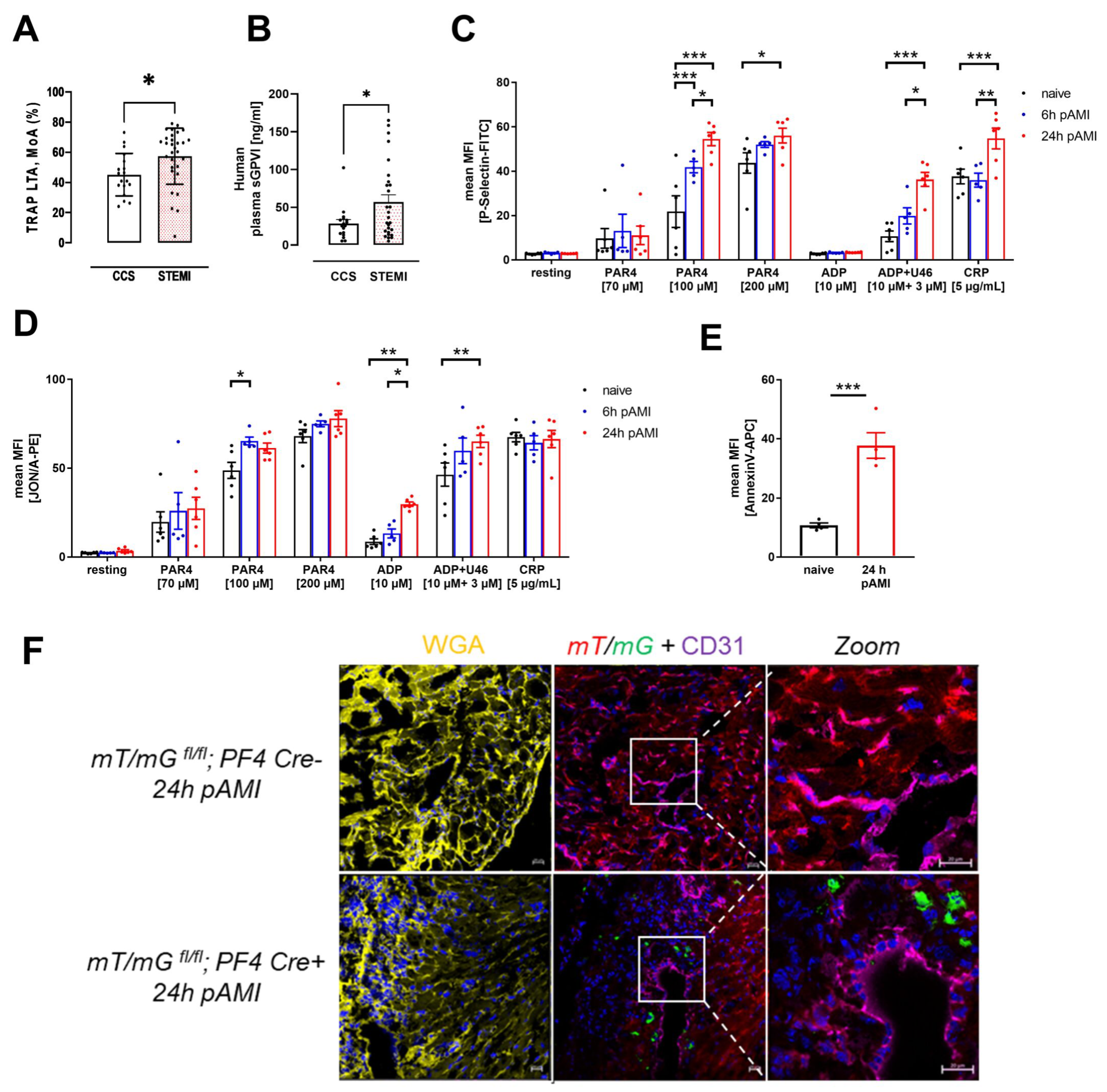 Cells 11 03500 g001 Cells 11 03500 g001