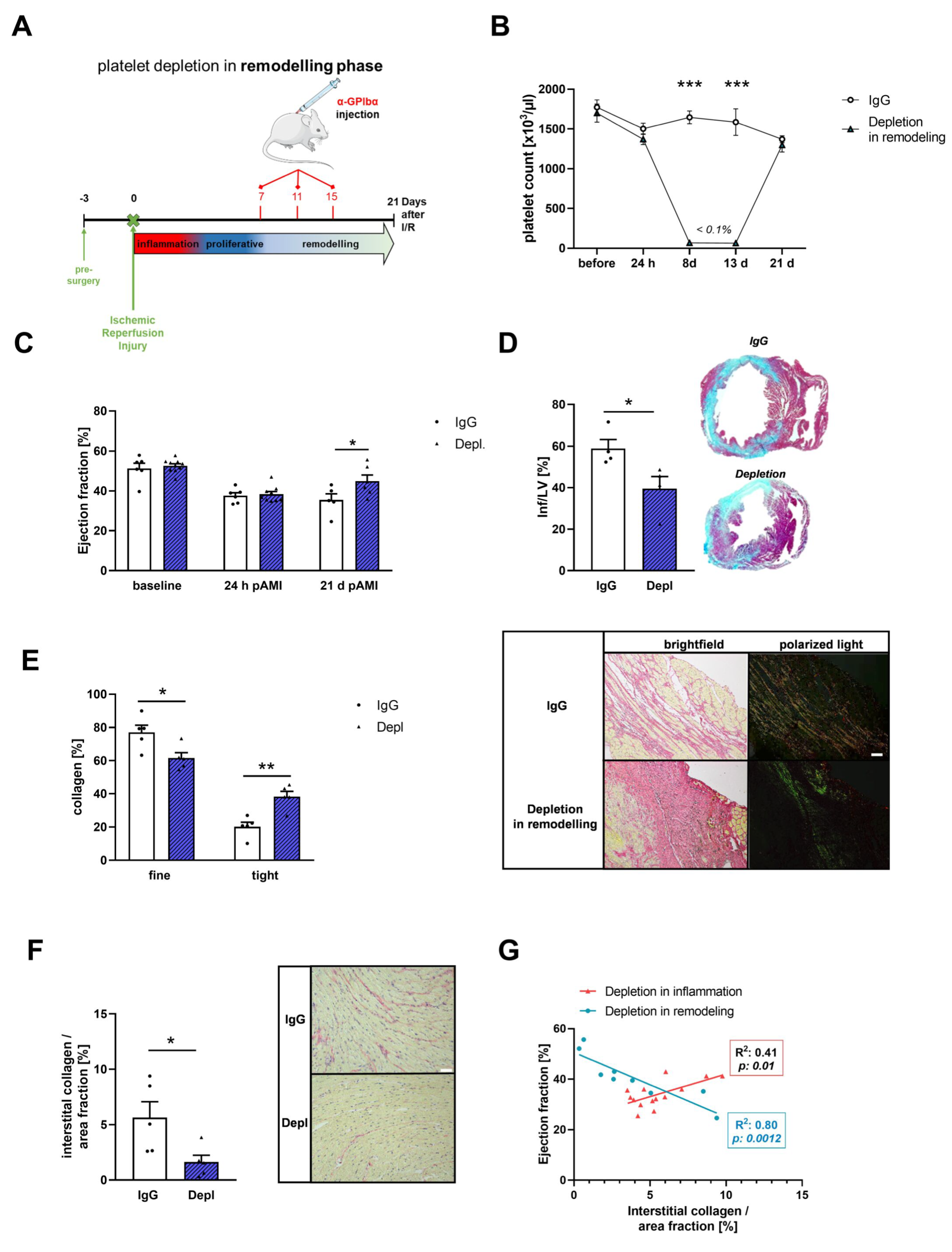 Cells 11 03500 g004 Cells 11 03500 g004