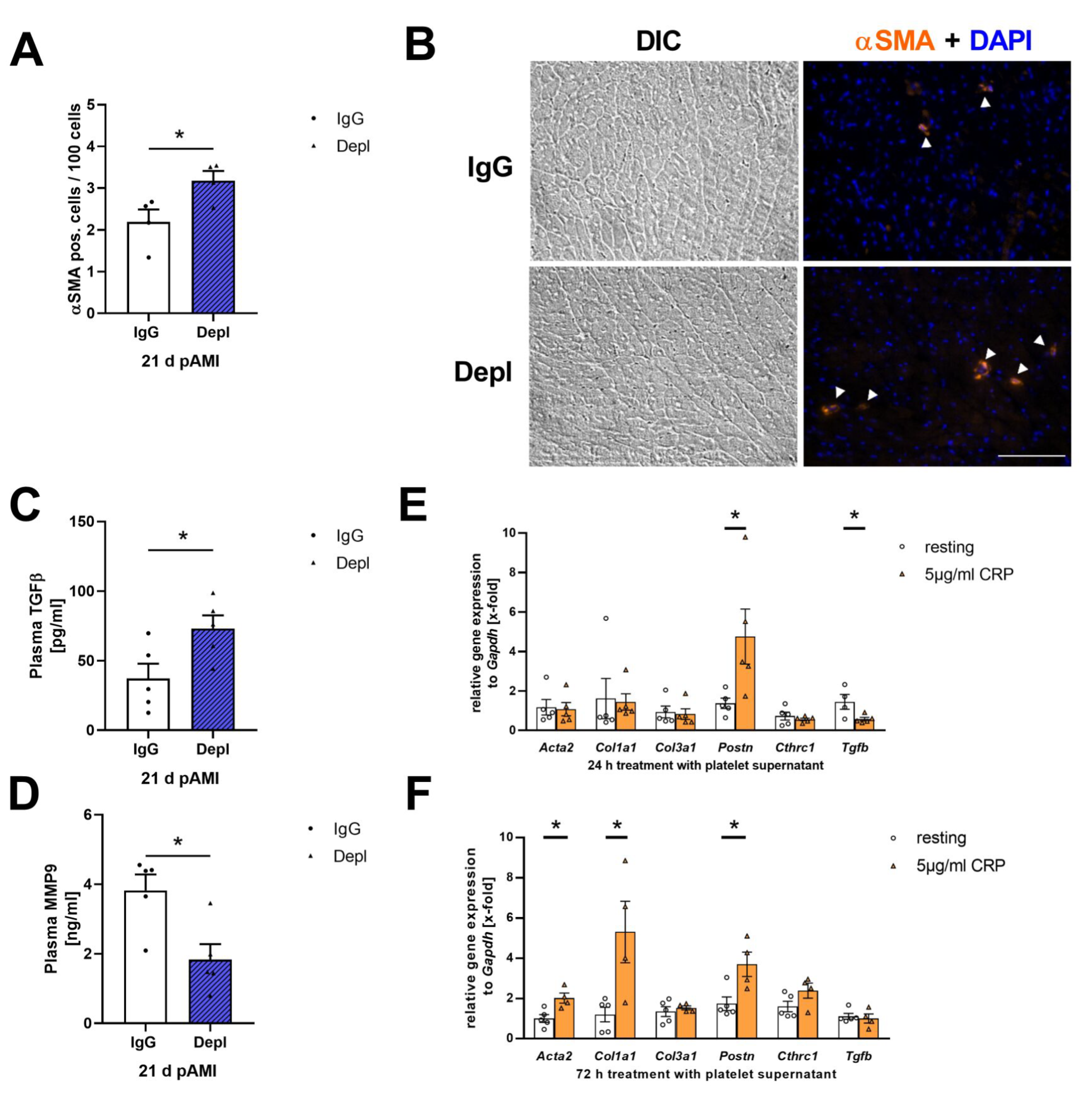 Cells 11 03500 g005 Cells 11 03500 g005