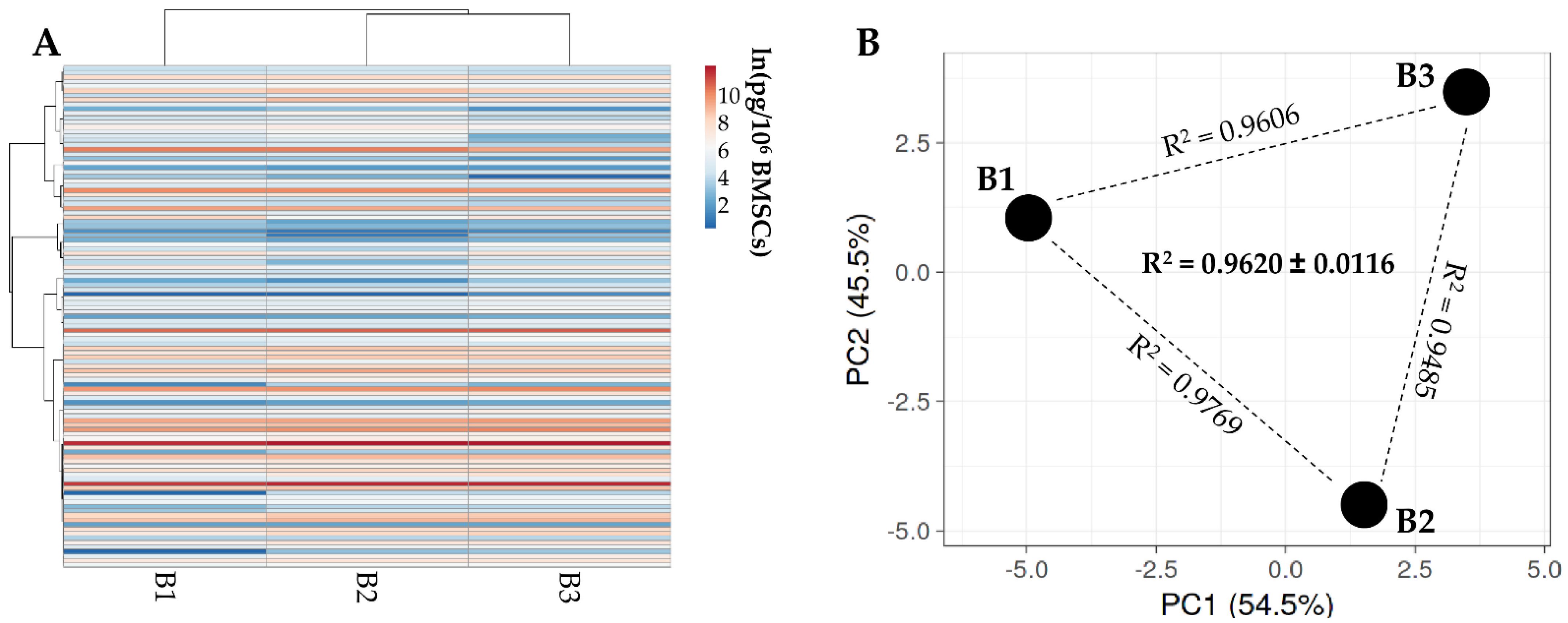 Cells 11 03501 g002 Cells 11 03501 g002