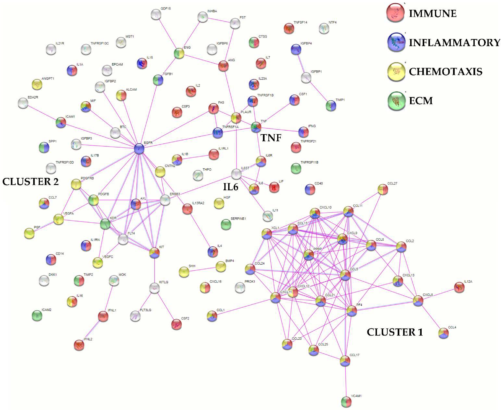 Cells 11 03501 g003 Cells 11 03501 g003