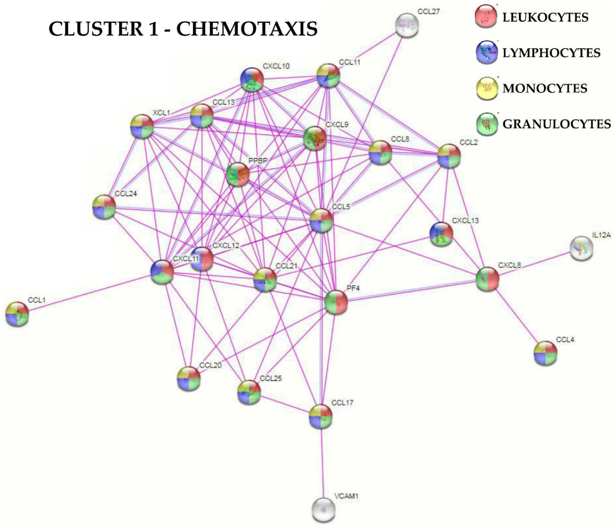 Cells 11 03501 g004 Cells 11 03501 g004