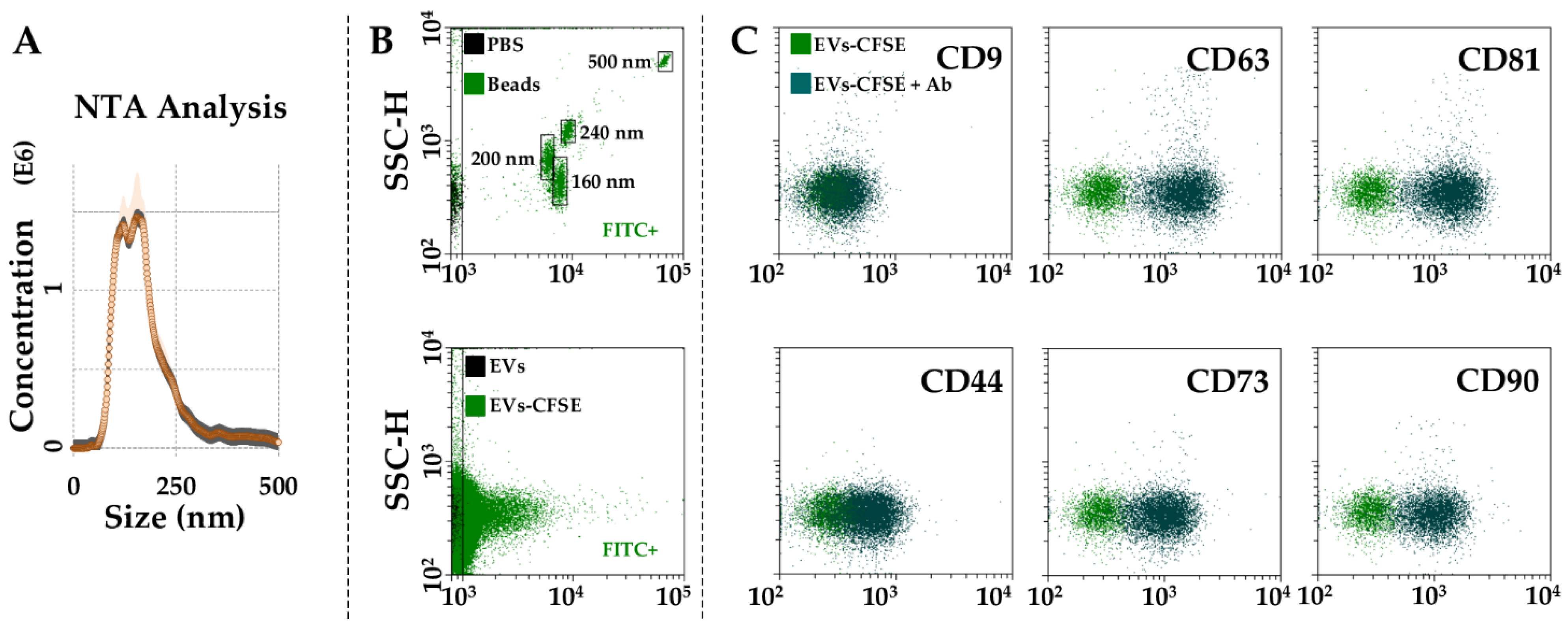 Cells 11 03501 g005 Cells 11 03501 g005