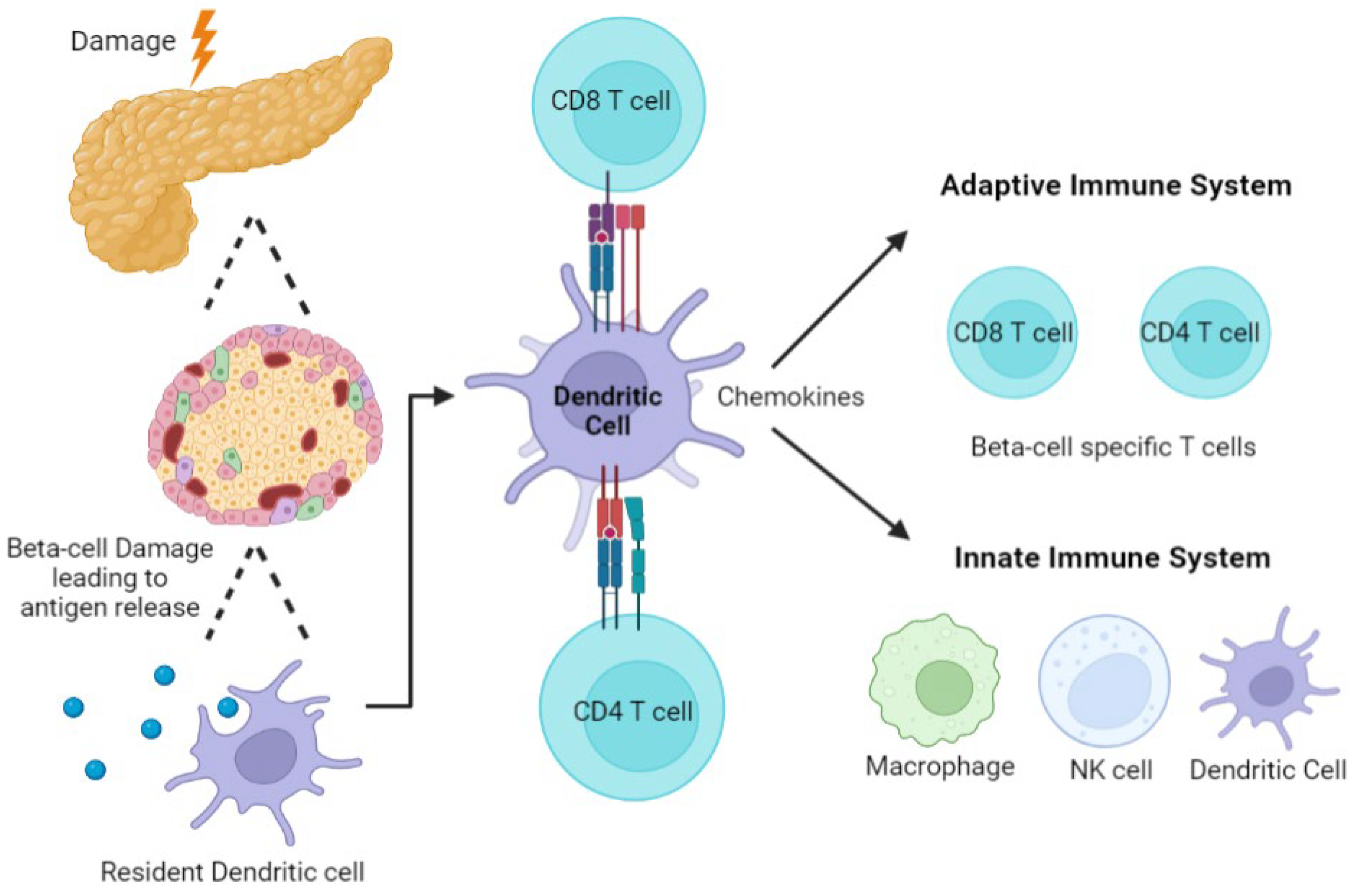 Cells 11 03503 g002 Cells 11 03503 g002