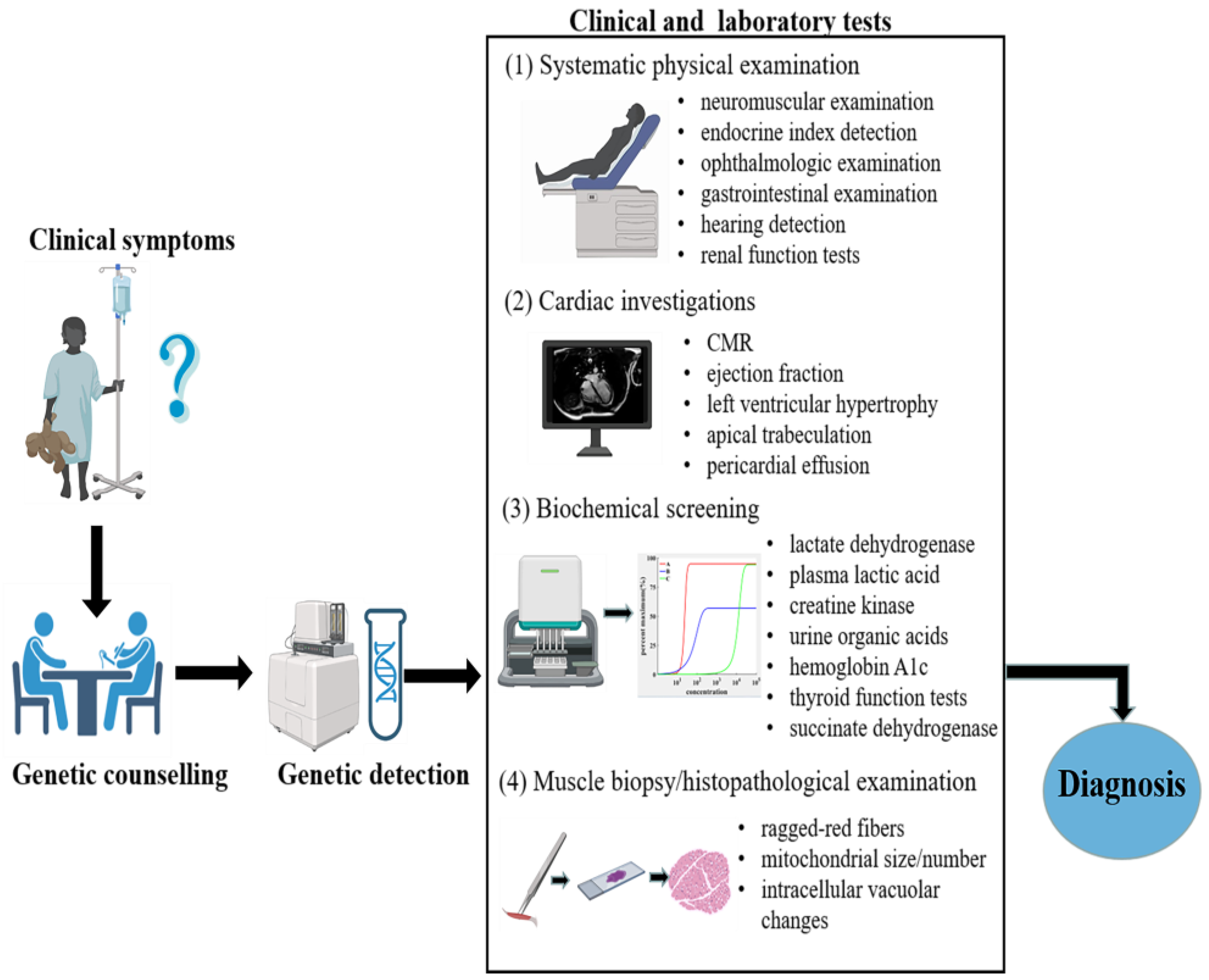 Cells 11 03511 g002 Cells 11 03511 g002