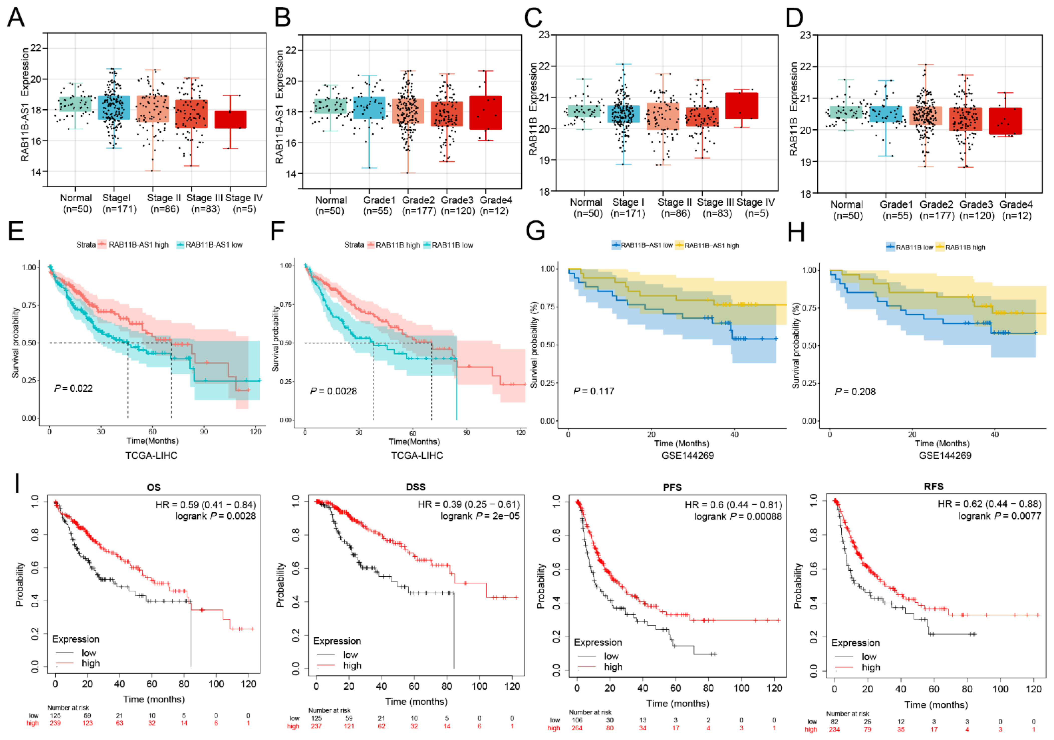 Cells 11 03517 g002 Cells 11 03517 g002